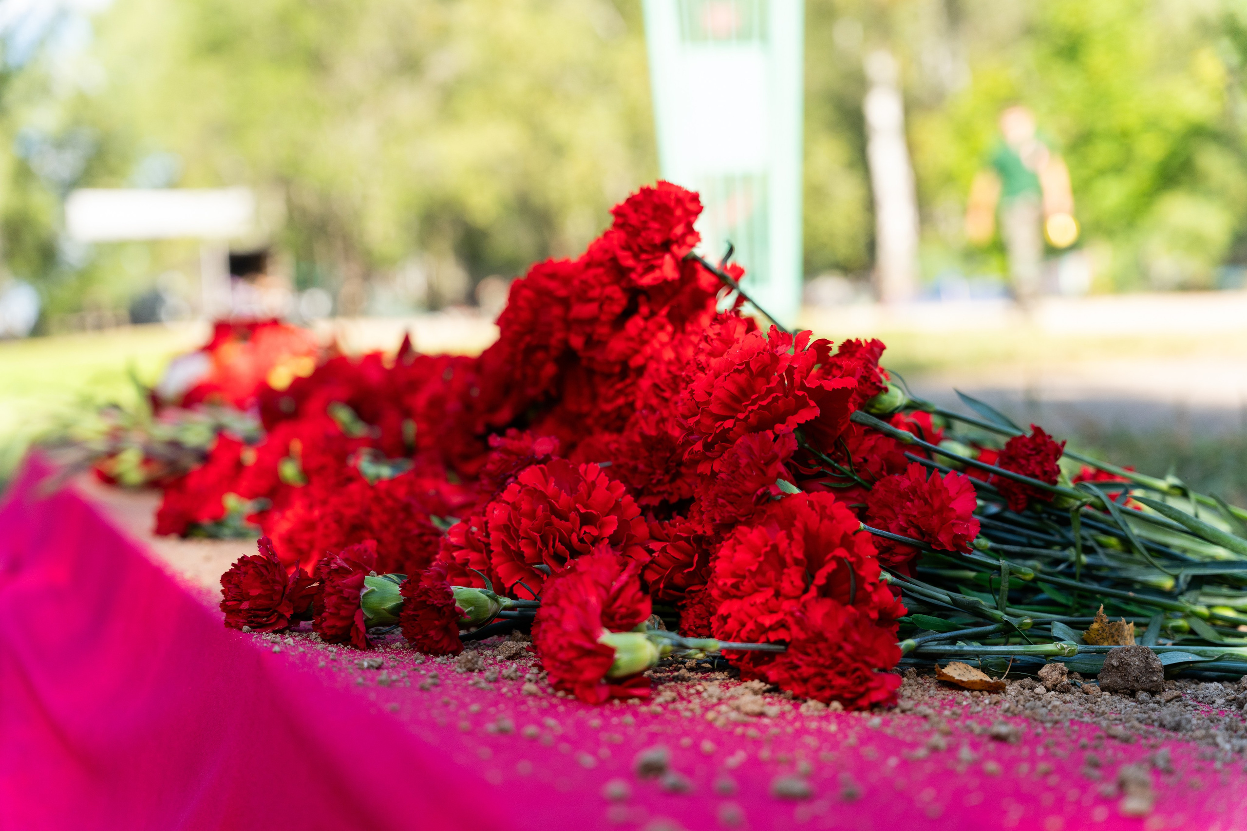 Роспатриот. Photographer | Moscow | Daria Novikova