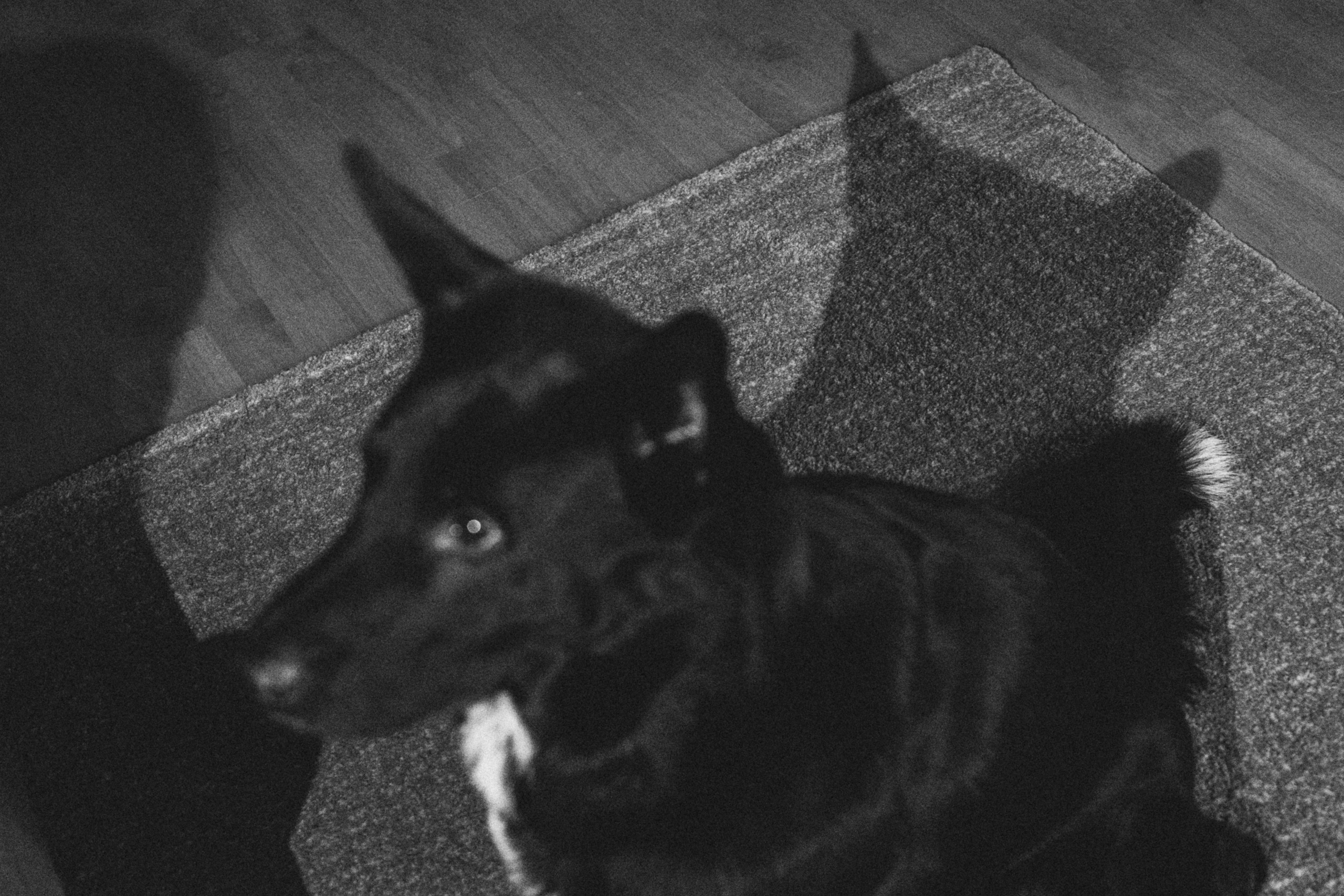 Ира и Морфей. Фотограф Анна Луценко Москва