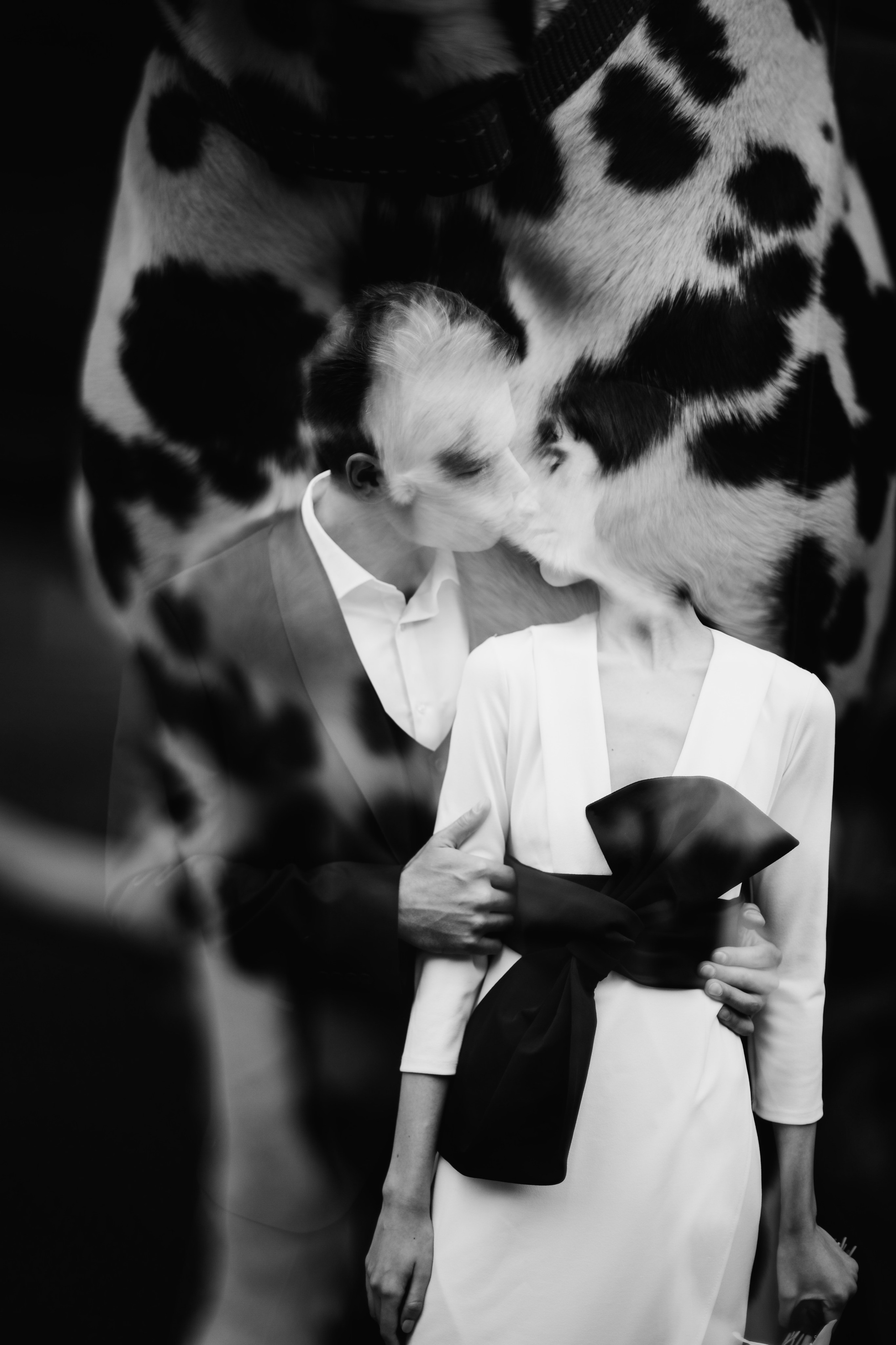 Свадебная прогулка с далматинцами. Свадебный и love story фотограф в Санкт-Петербурге (Спб) Natali Iva