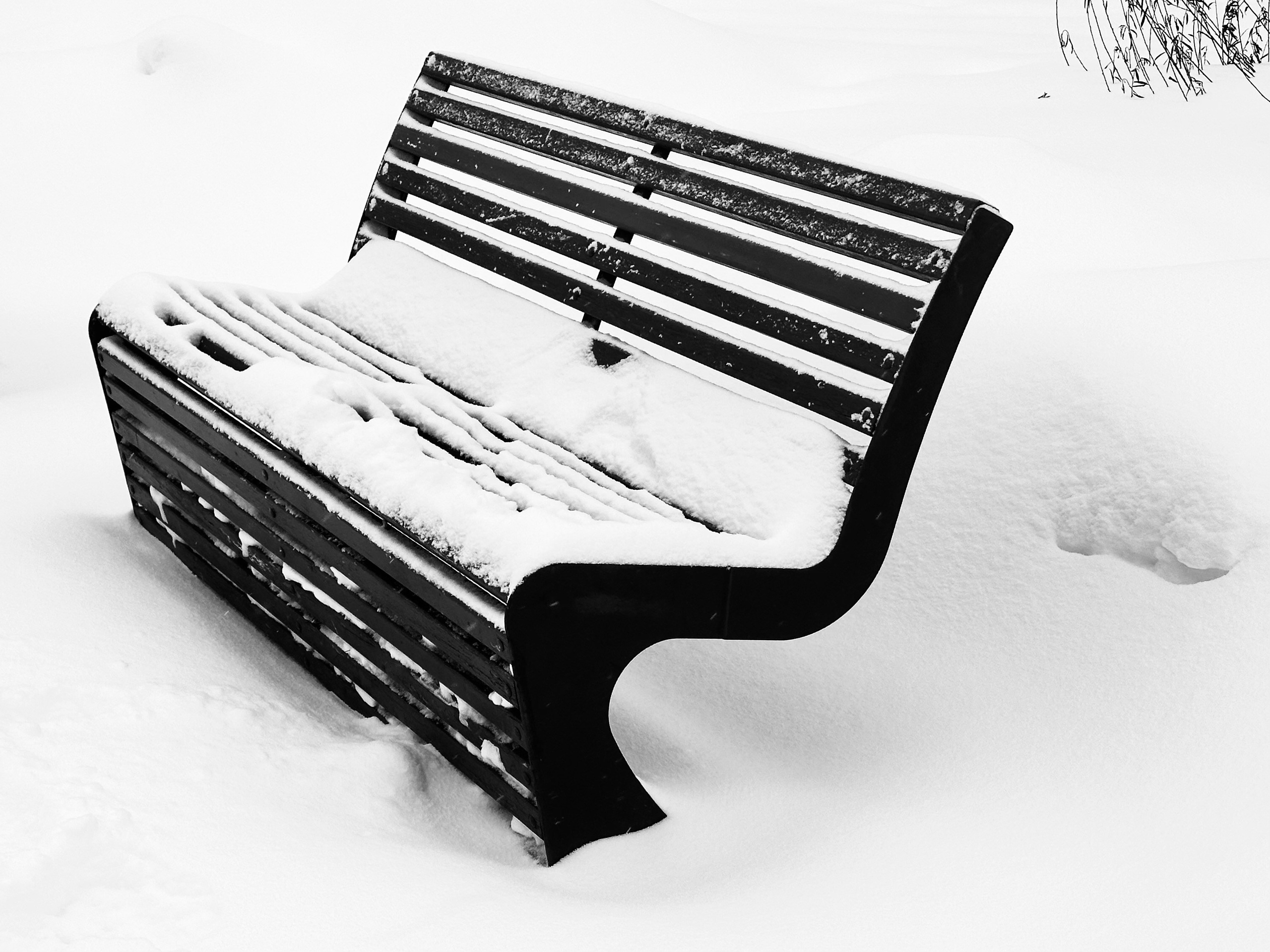 Чёрно-белая зима 25-26. Фотосессии и репортаж — Фотограф в Москве — Рина Серёгина