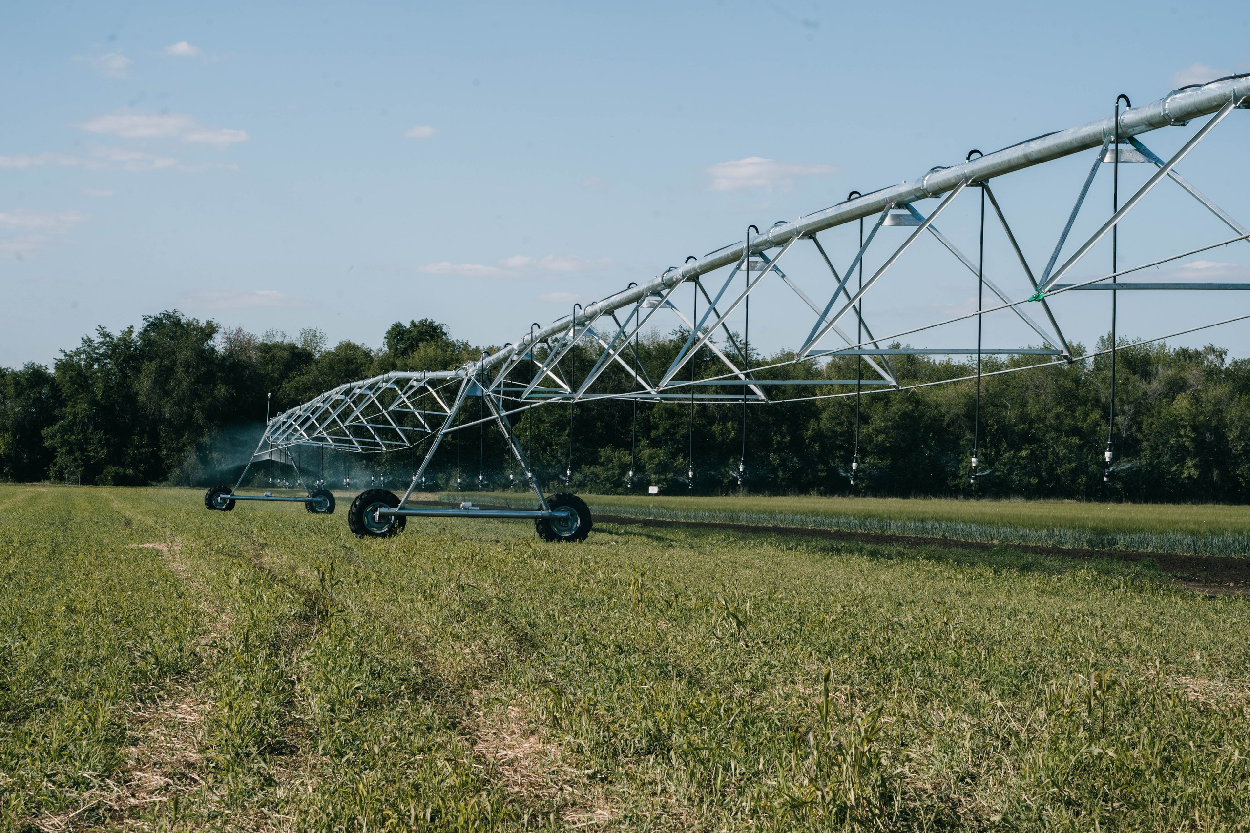 Фестиваль «Самарский день поля» в Угорье. Фотограф Сергей Логинов