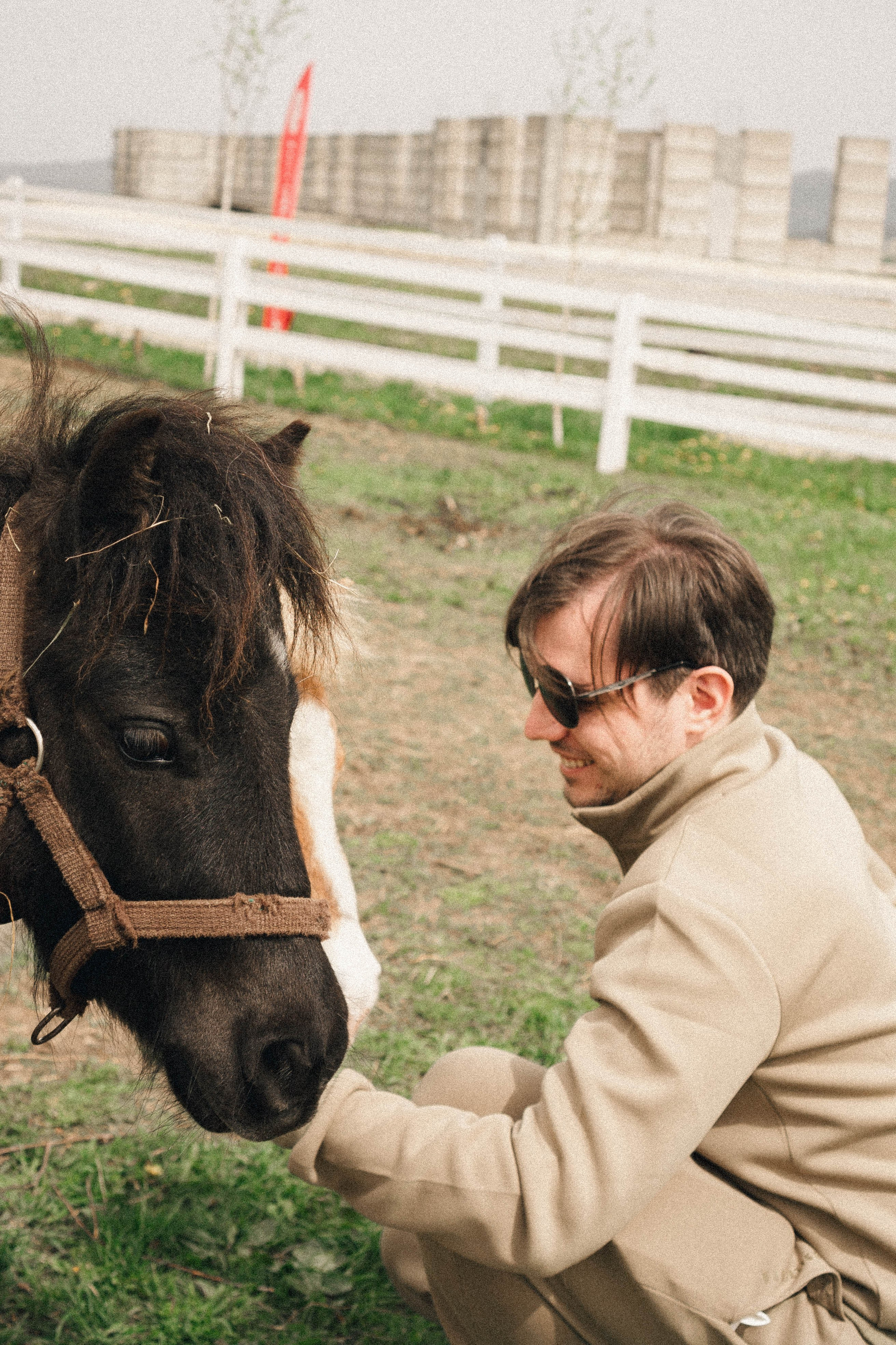 Ферма Альпак. Профессиональный фотограф, Санкт-Петербург — Виктория Богомолова