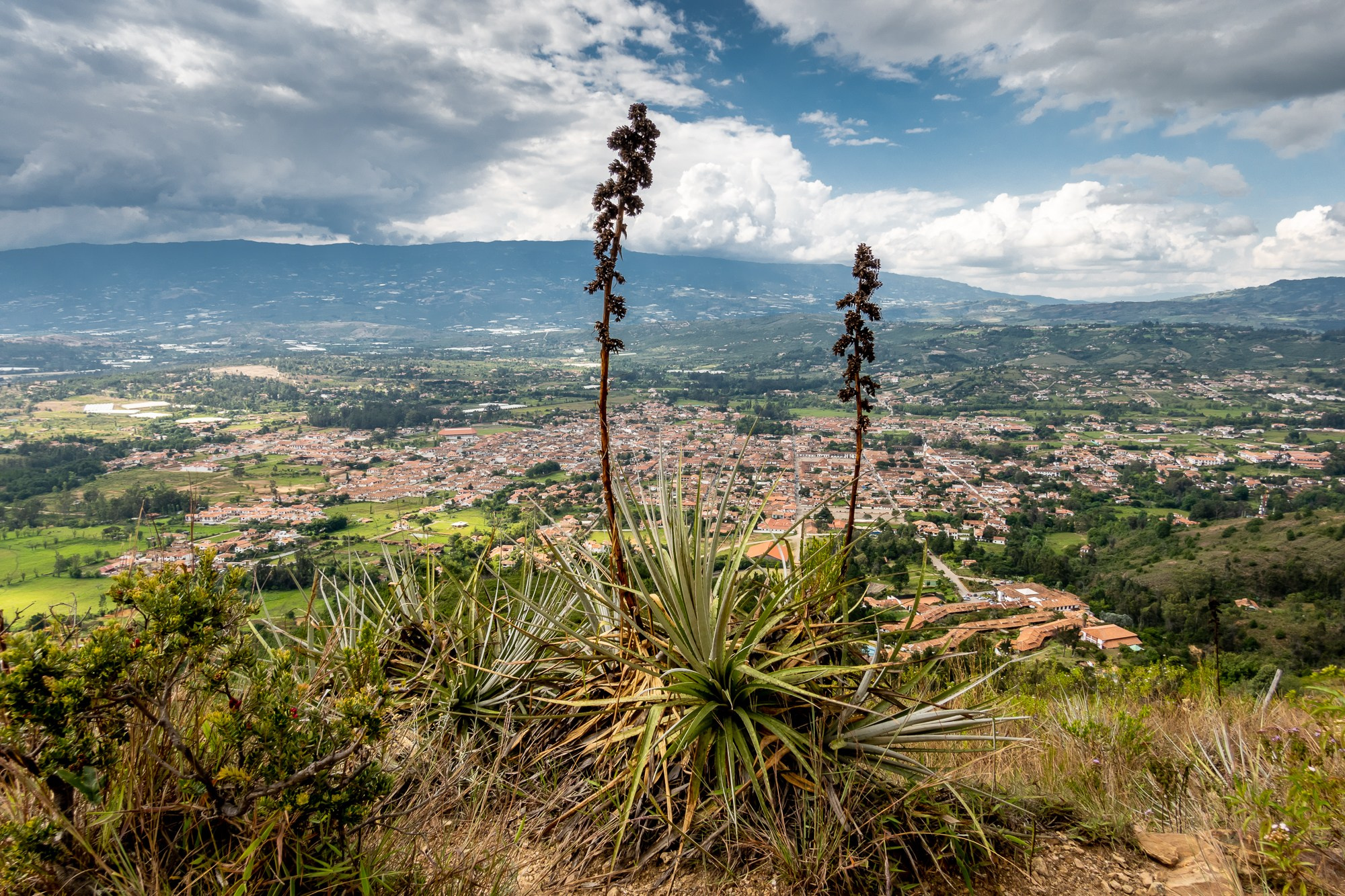 Алексей Скоробогатько, фотограф.  Колумбия Вилья-де-Лейва. Alexey Skorobogatko, photographer, Colombia Villa de Leyva. Фотограф Алексей Скоробогатько