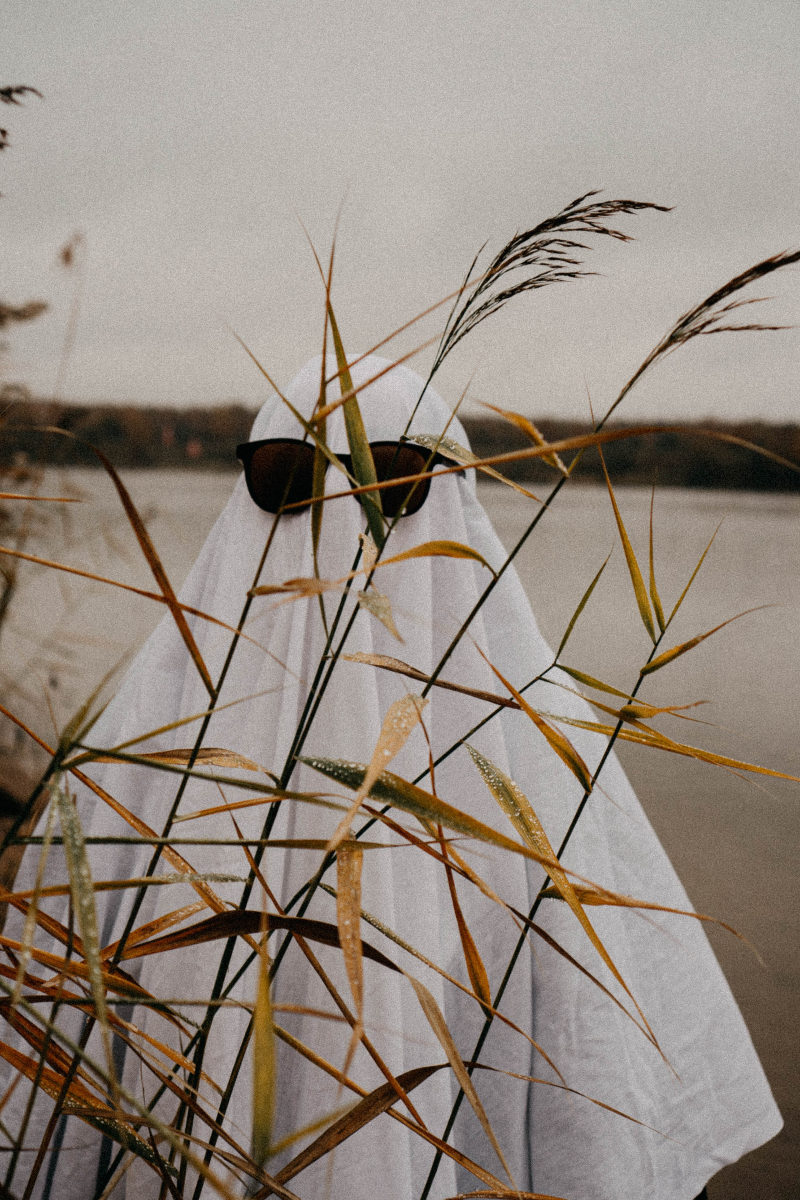 Осеняя. Профессиональный фотограф, Санкт-Петербург — Виктория Богомолова