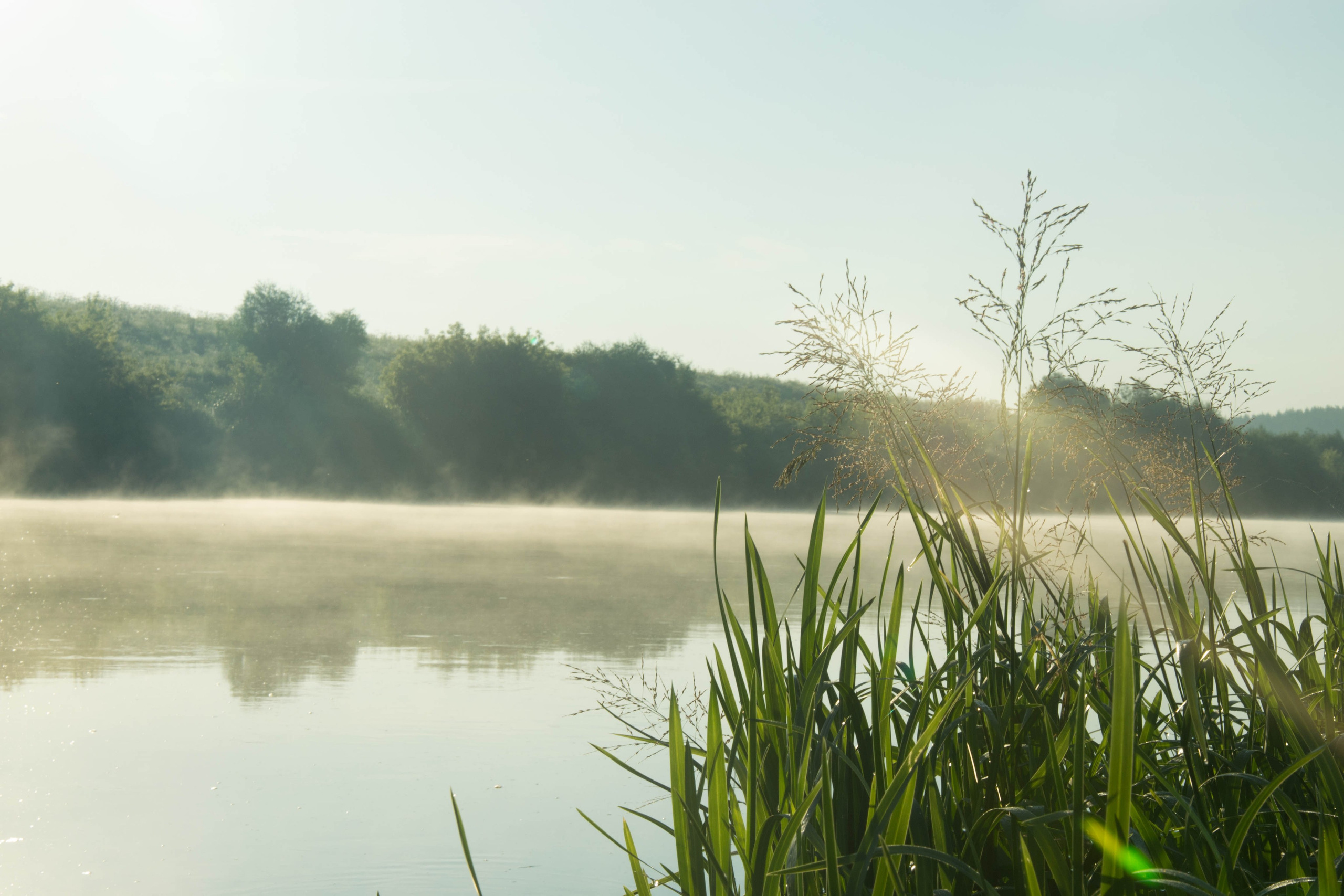 Дон. Главная