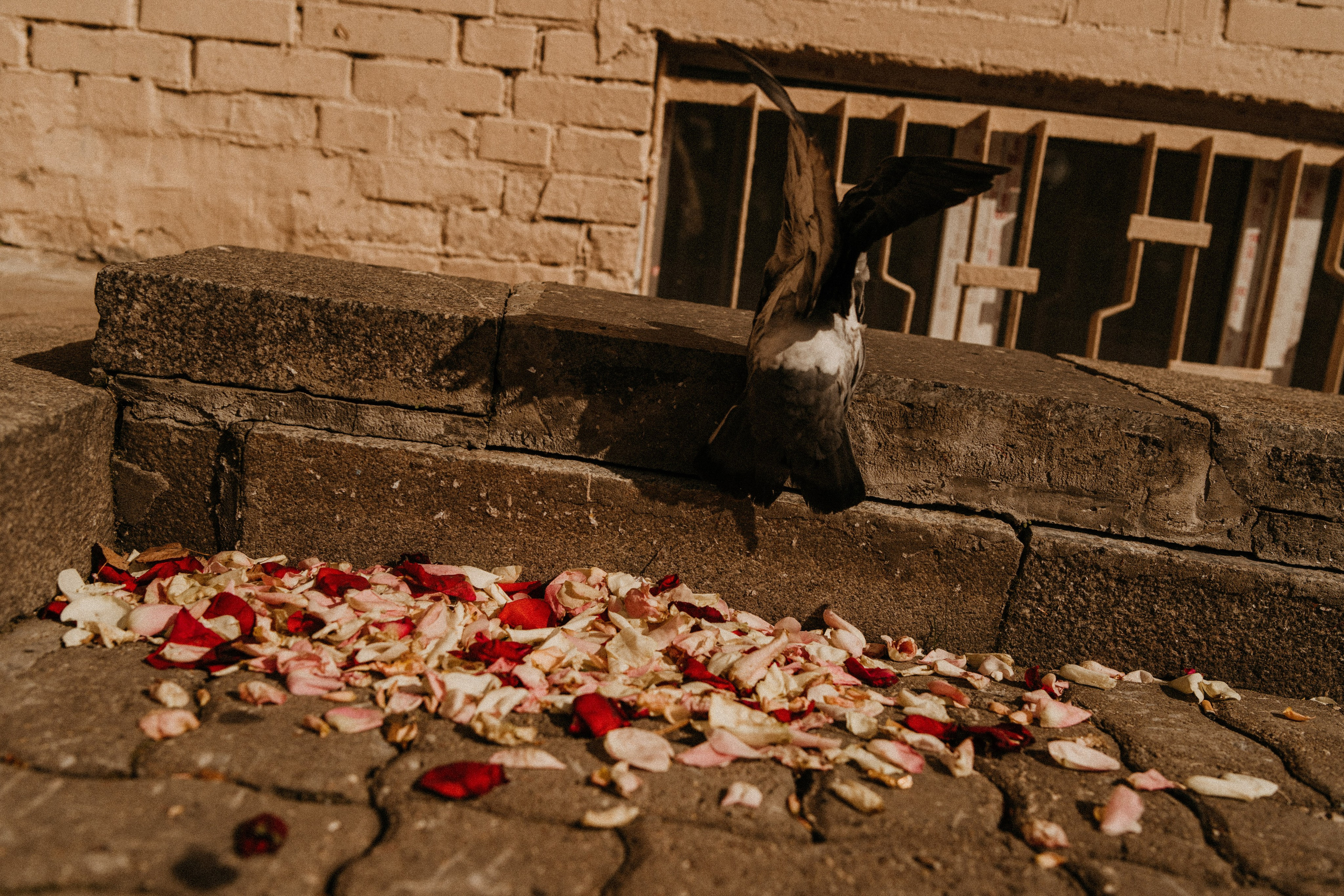 МЫ ЖЕ НА ТЫ. Миша Снимет | твой фотограф