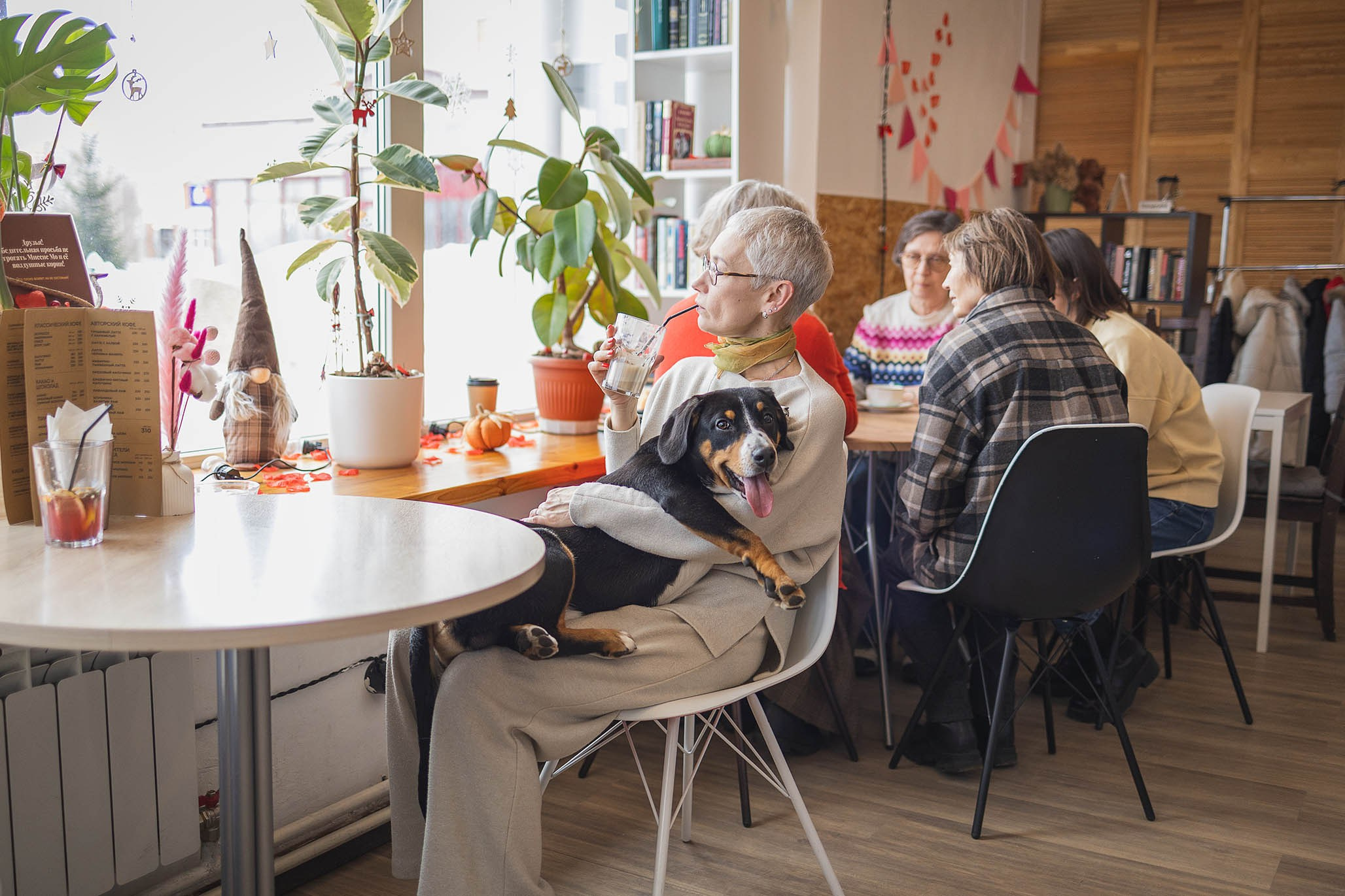 Кафе. Фотограф-анималист Александра Шеремет