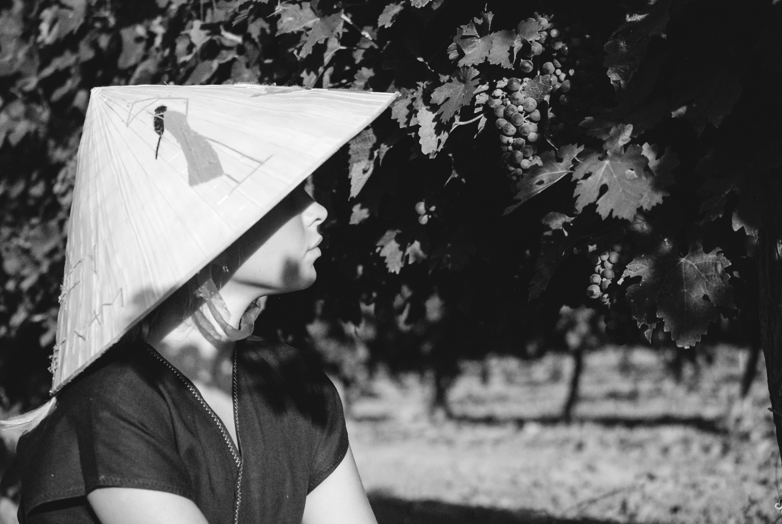 Таманский полуостров.Фотопрогулка виноградник.Арина. Индивидуальная и Семейная Фотосъёмка для каждого