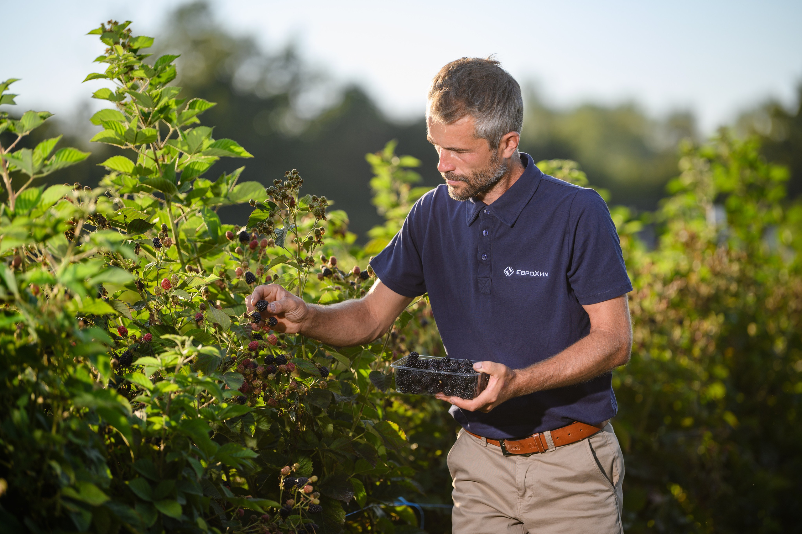 Проекты. Профессиональный фотограф Вячеслав Плацында | Липецк |