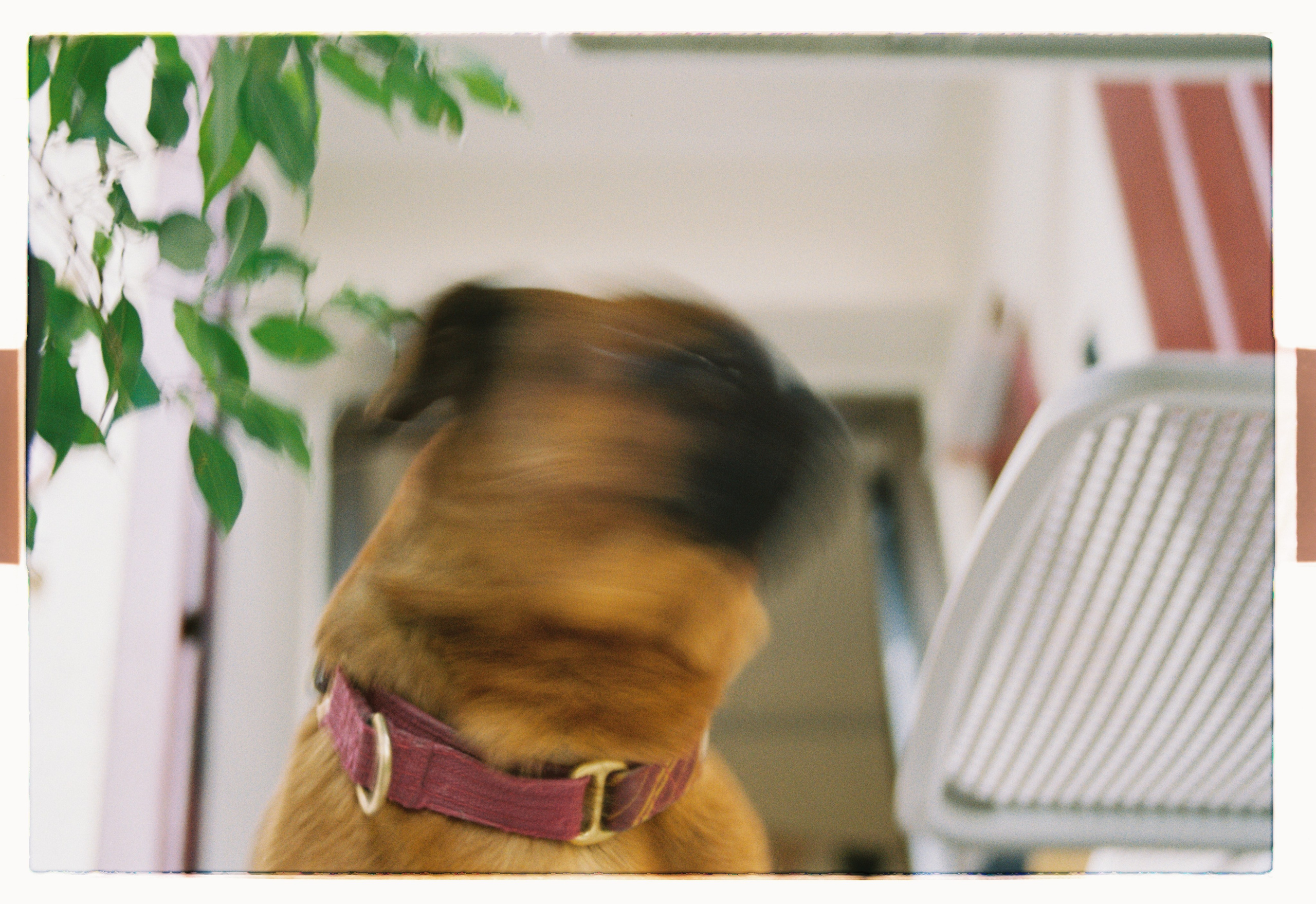 Историю любви Юли и Тина. Главная