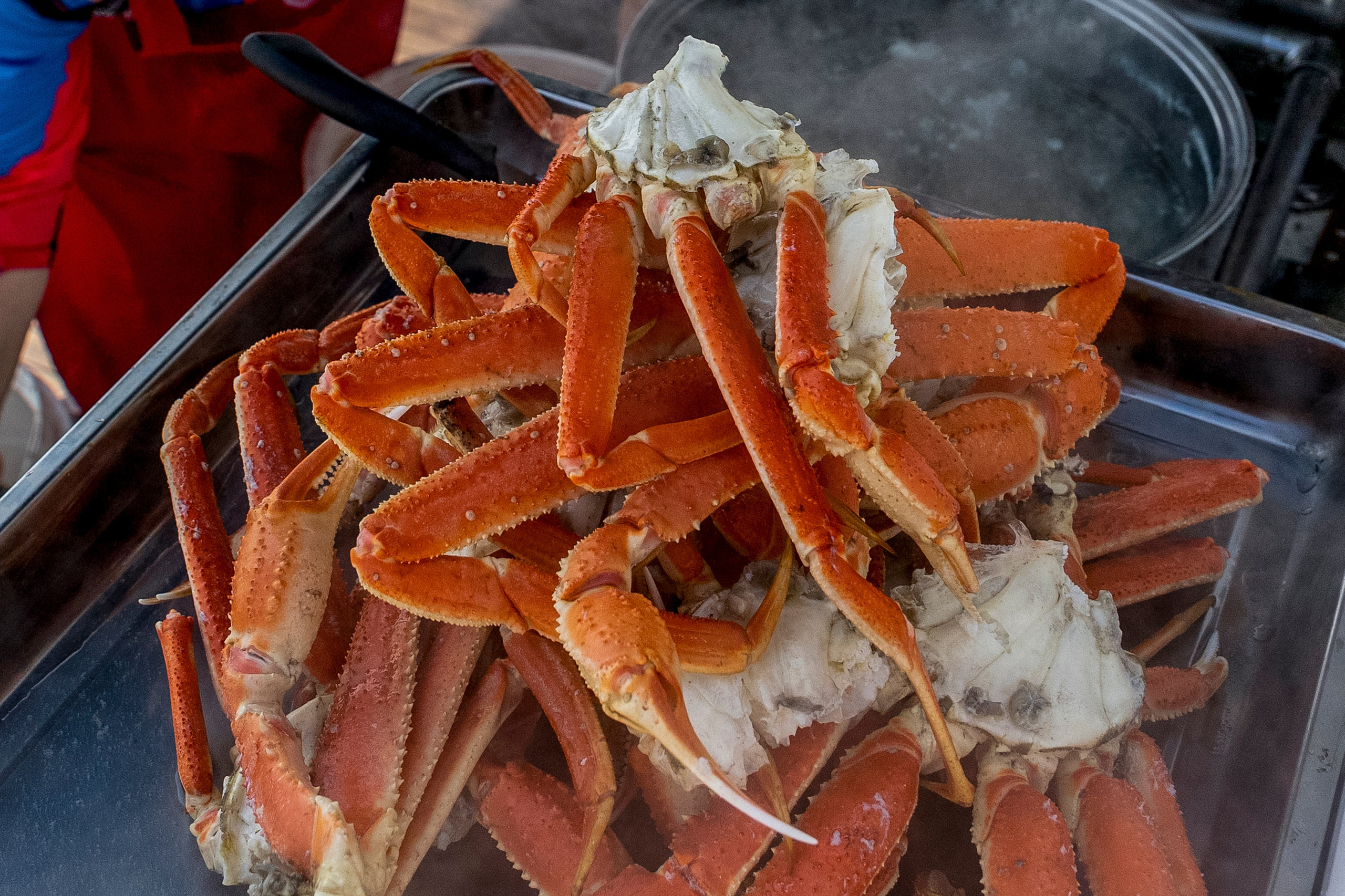 Крабовое сафари + мыс Маячный. Время Камчатки: чтобы найти свой путь, нужно скорость умножить на время