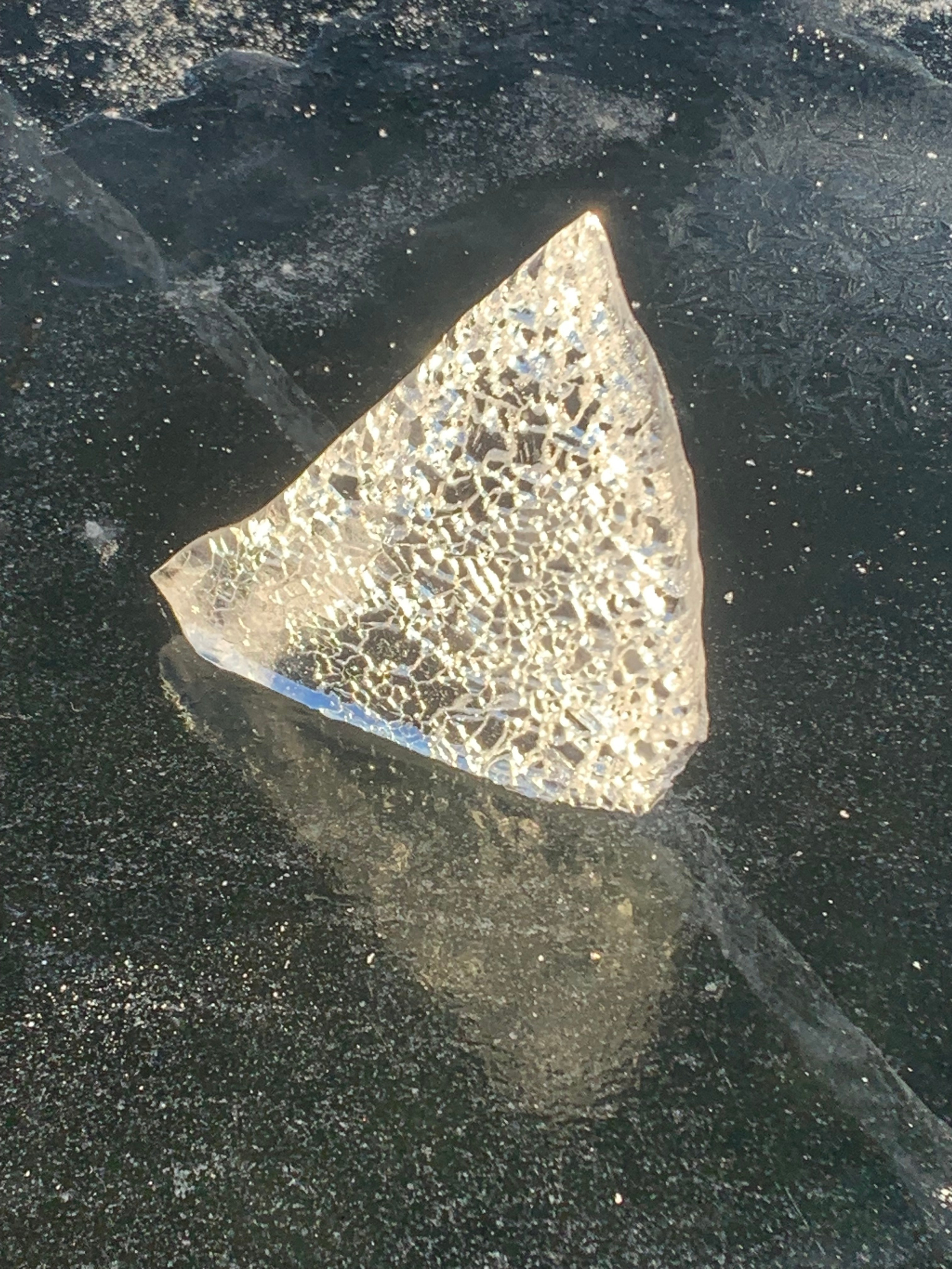 2022. Тащилин Сергей. Фотографии. Жизнь. Хобби