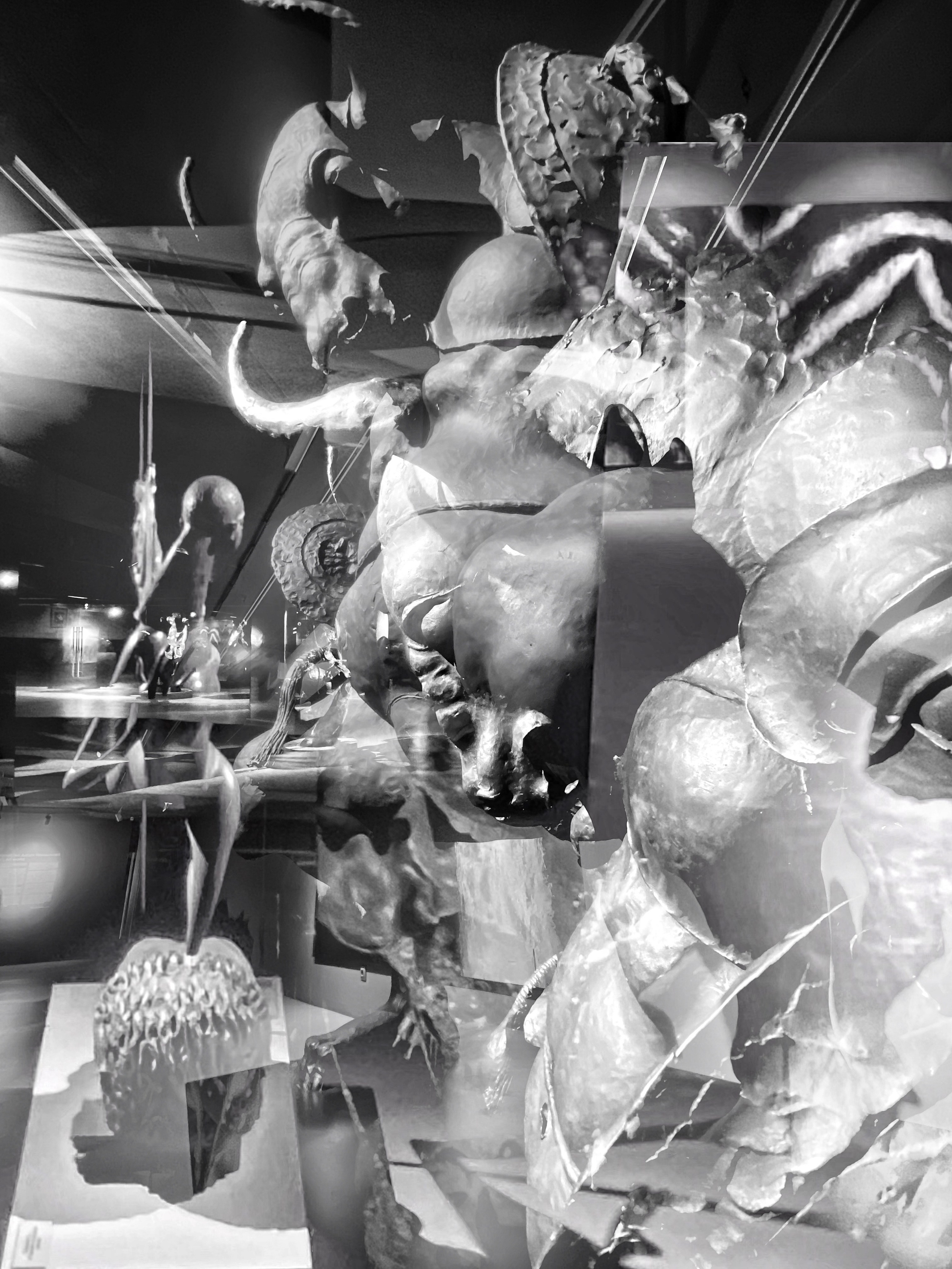 2025 год. Тащилин Сергей. Фотографии. Жизнь. Хобби