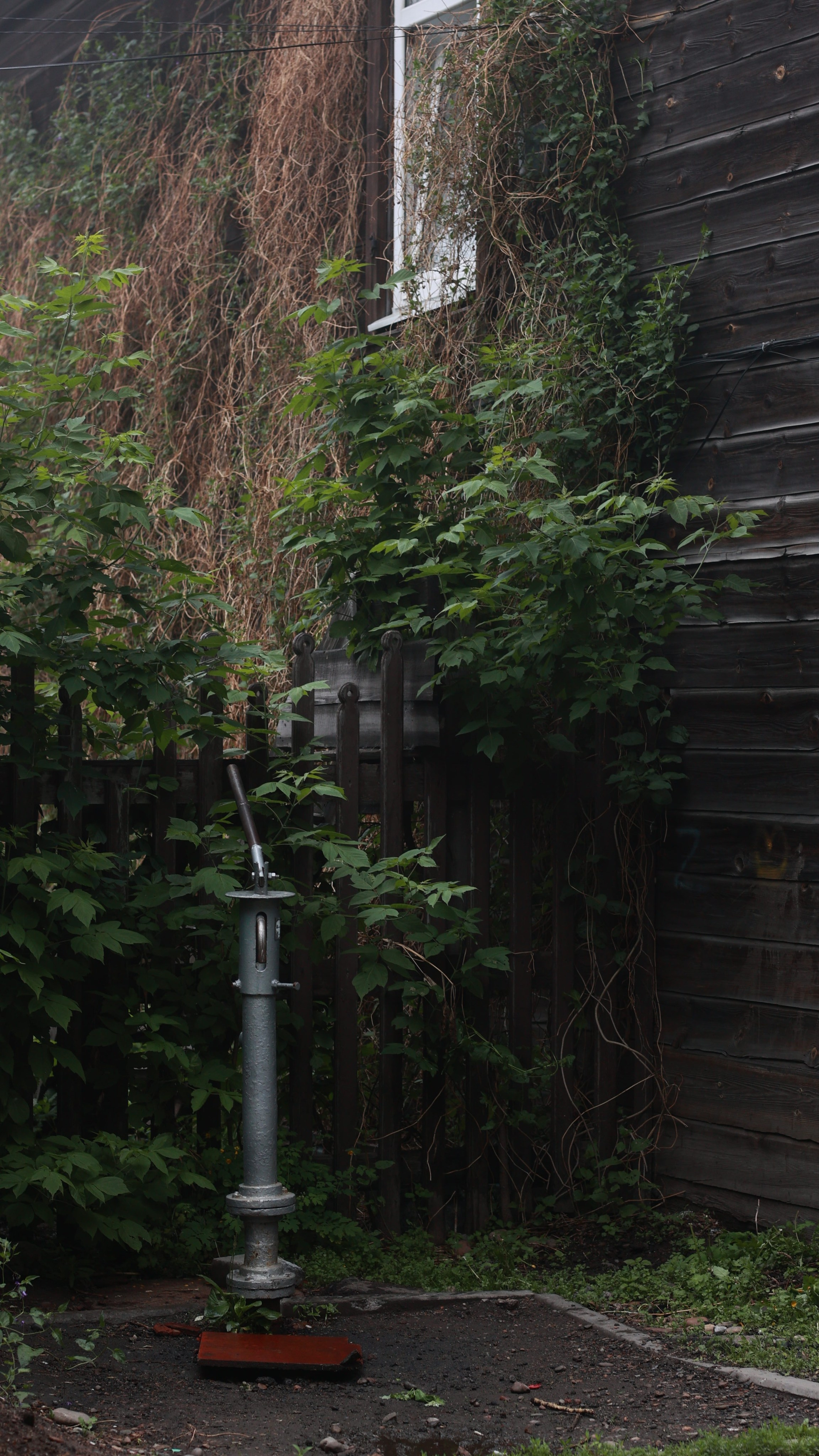 2022. Тащилин Сергей. Фотографии. Жизнь. Хобби