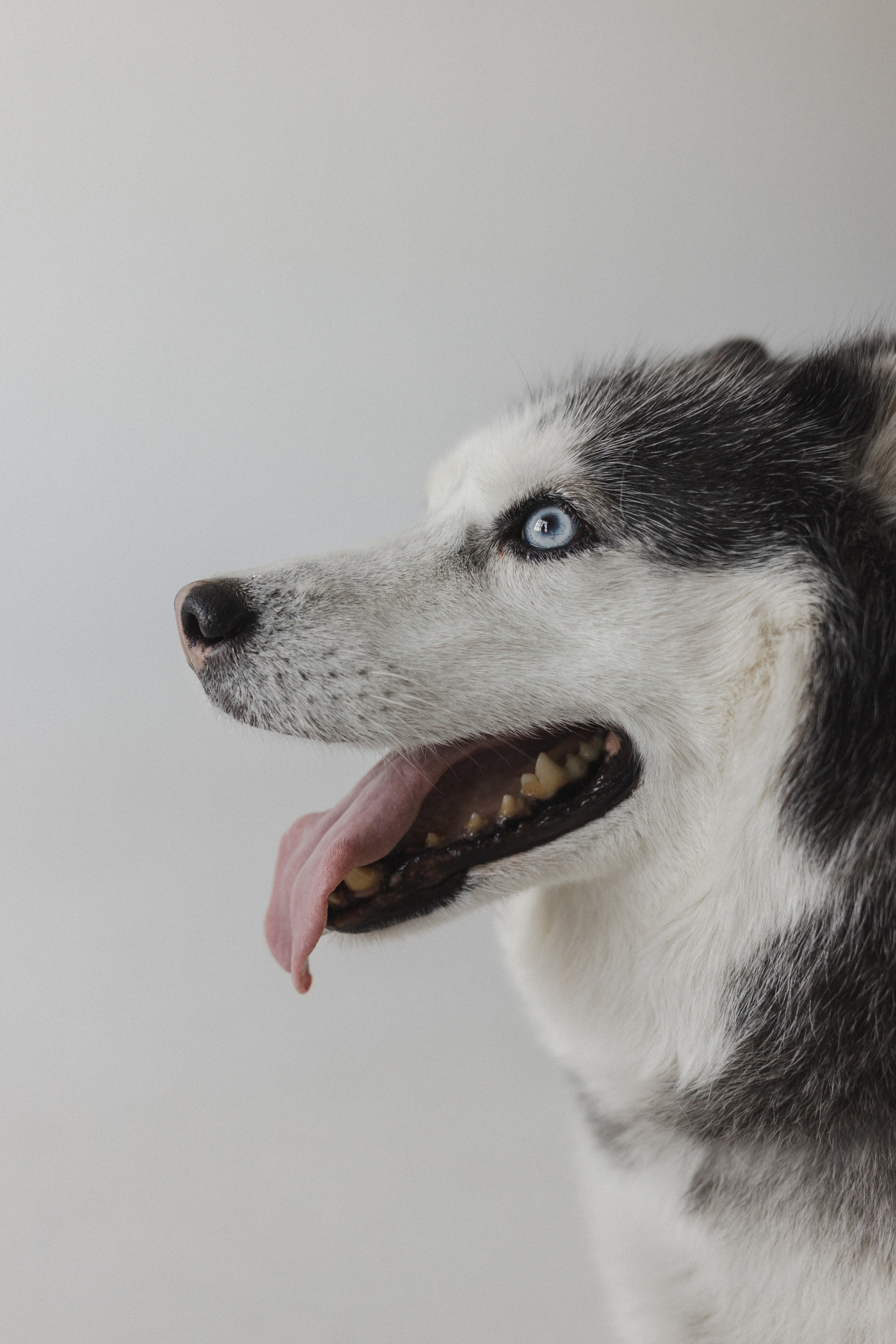 История семьи. Семейный фотограф в Москве