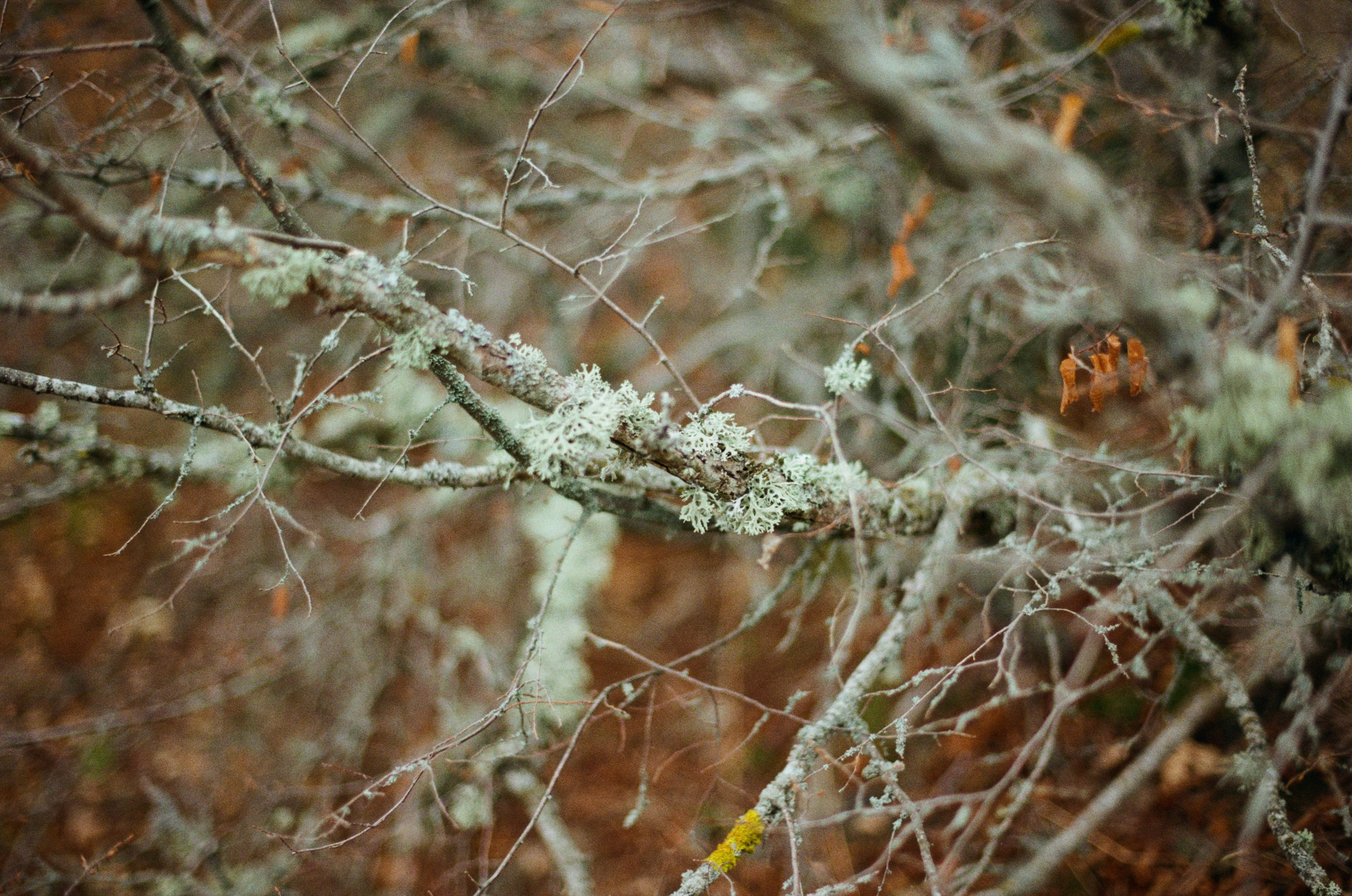 Wherever you will go // ukraine, crimea V. EVER EXPOSED