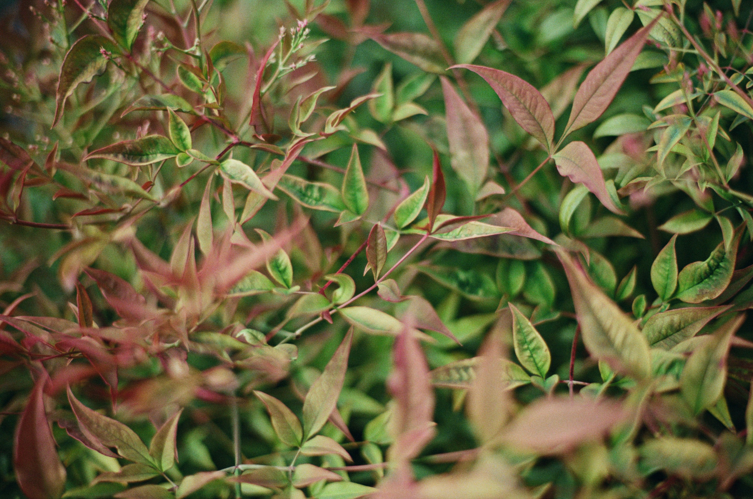 This time // ukraine, crimea III. EVER EXPOSED