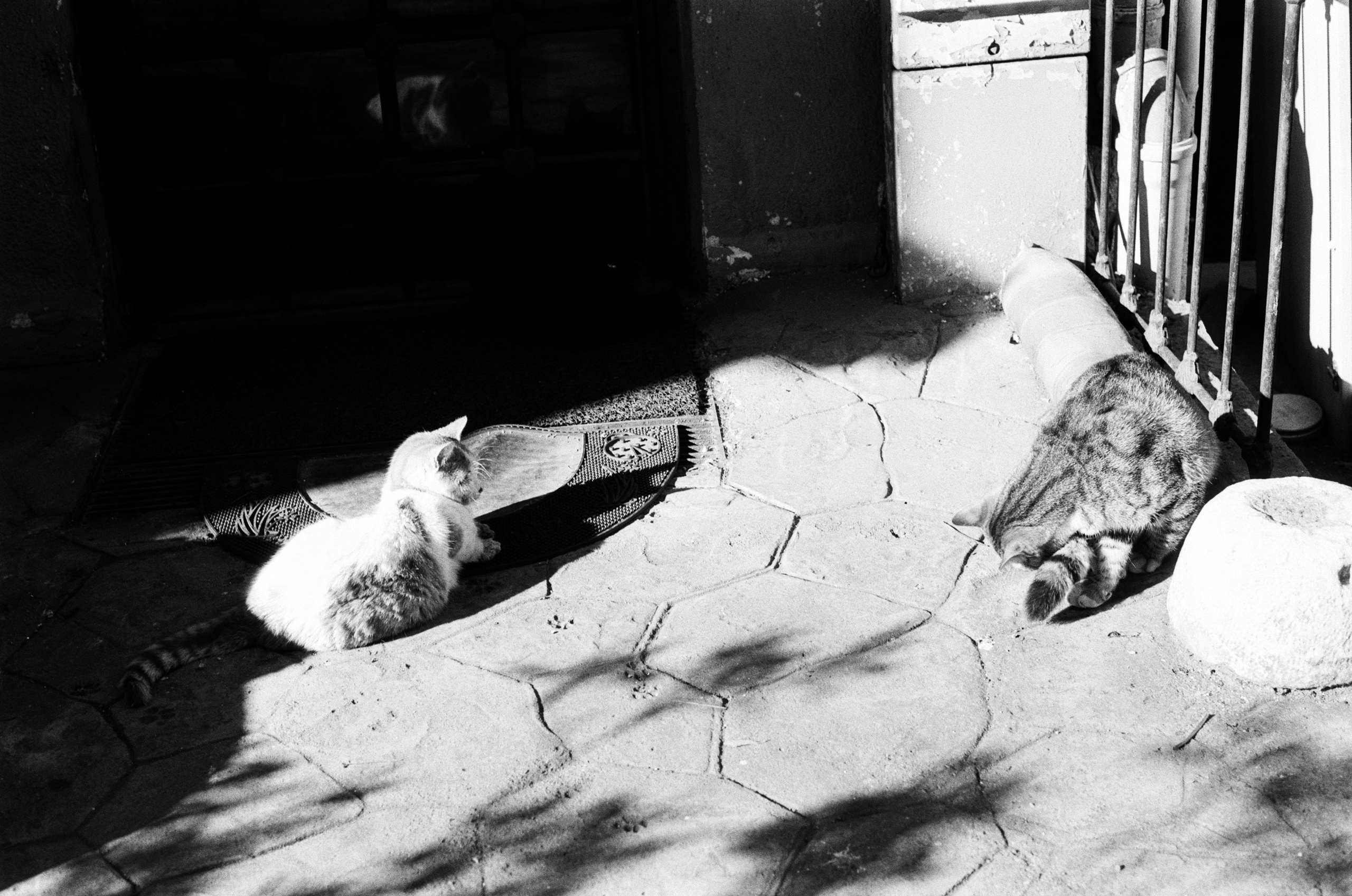 Complicated // turkey, istanbul IV. EVER EXPOSED