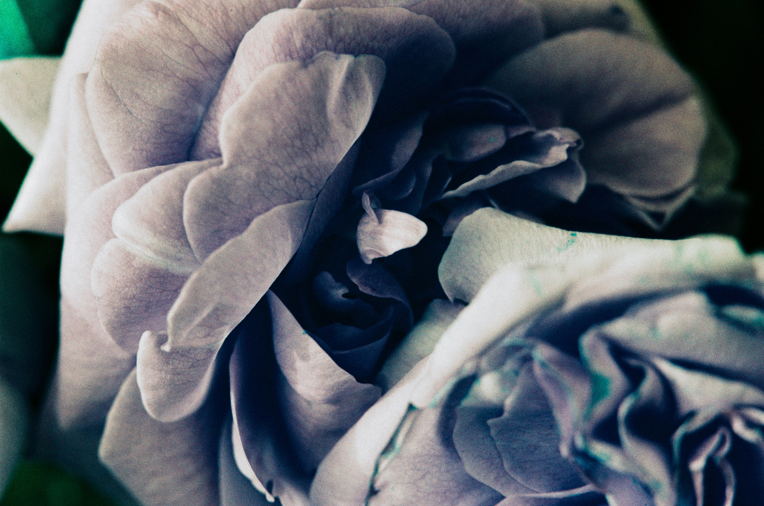 Point of no reply // ukraine, crimea II. EVER EXPOSED