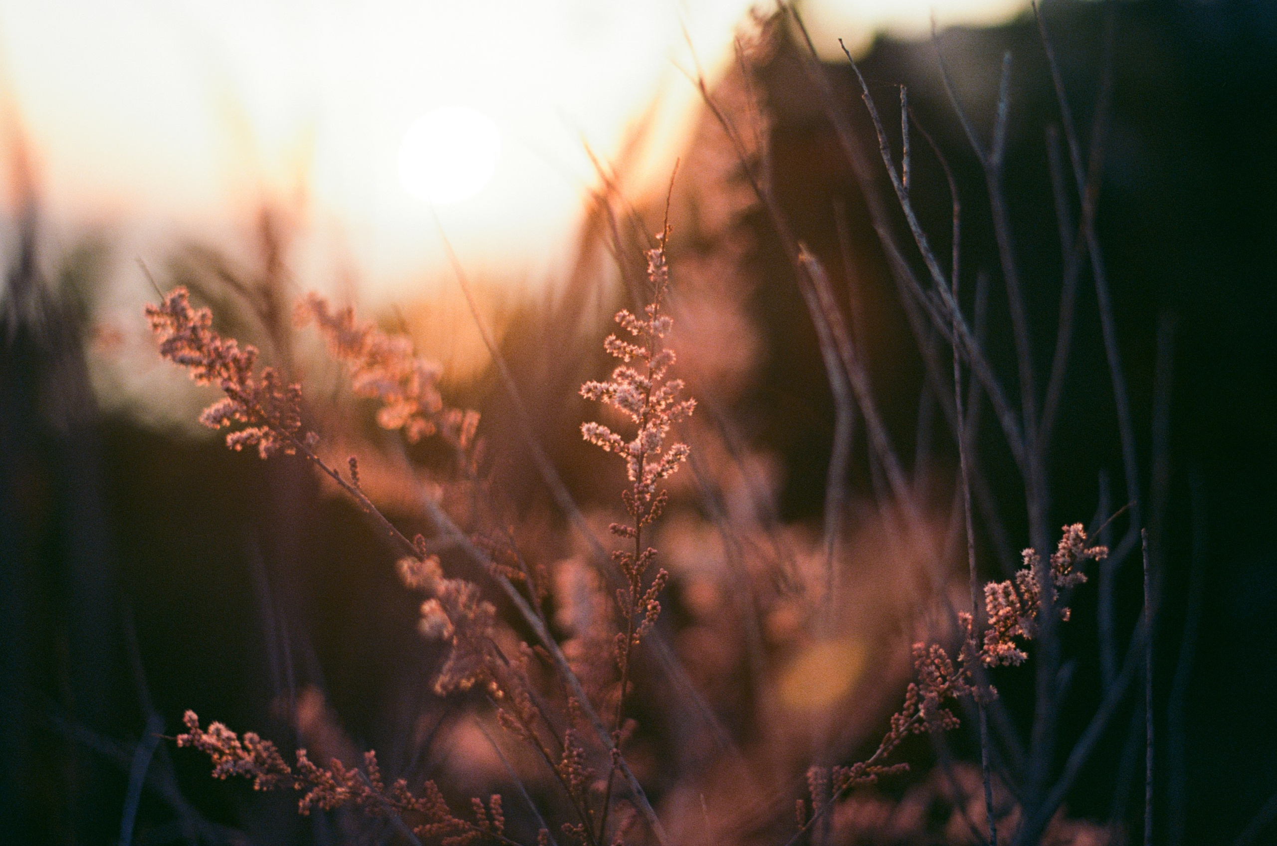 Follow you // ukraine, crimea IV. EVER EXPOSED