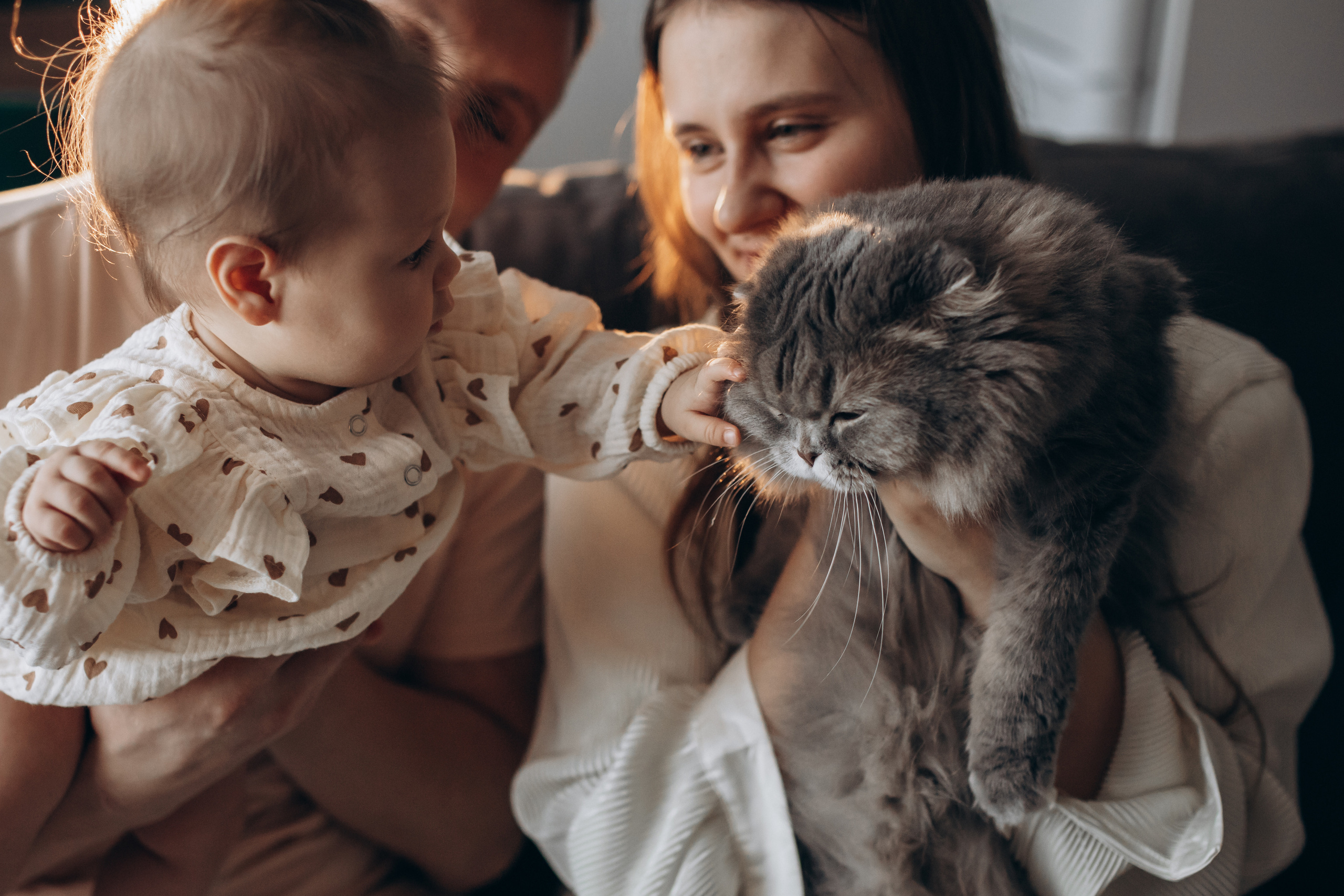 Дом, в котором живет любовь…. Семейный, свадебный фотограф в Чите Екатерина Мельникова