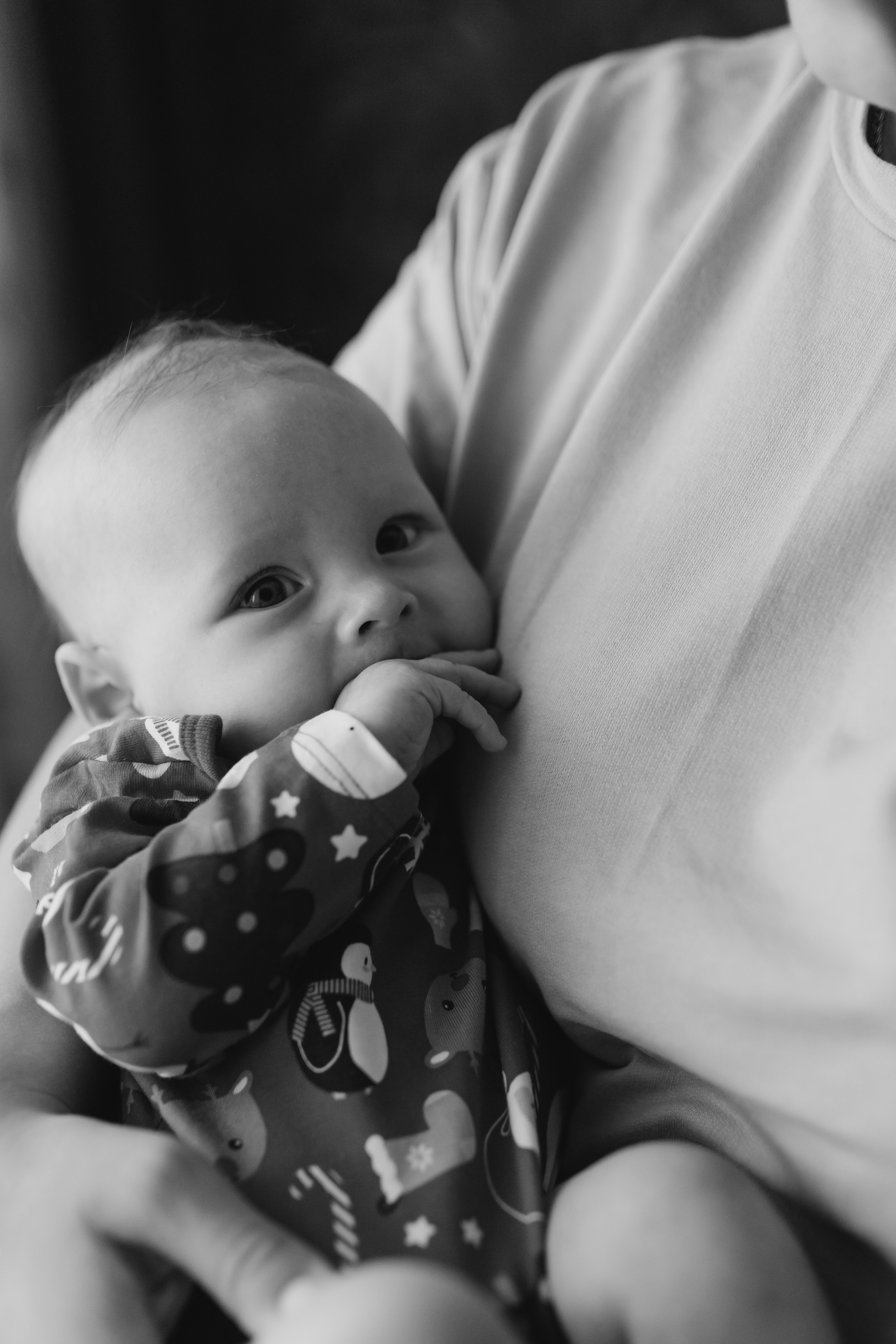 Первый Новый год Гордея. Семейный, свадебный фотограф в Чите Екатерина Мельникова