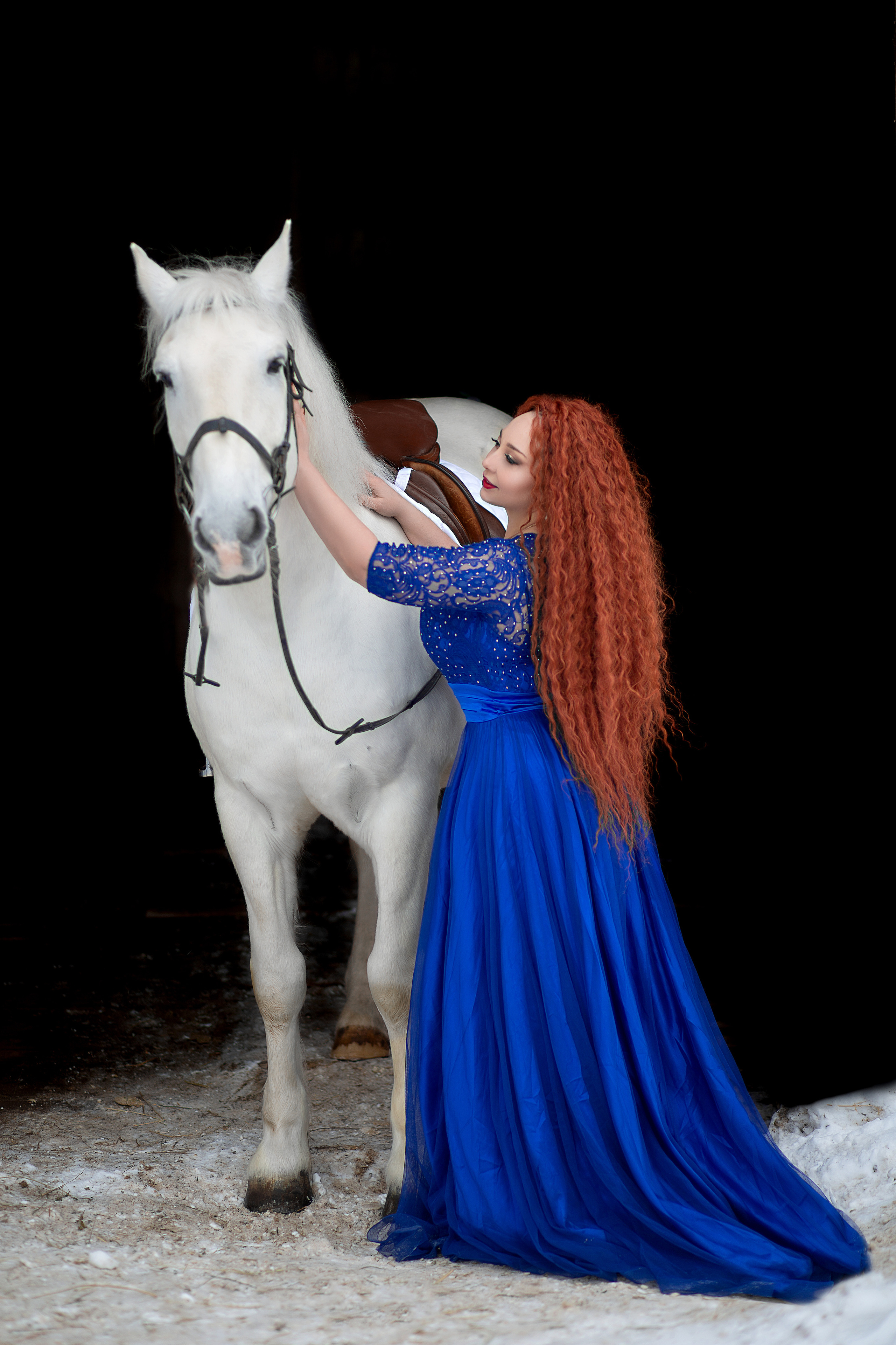 Алена и Воробушек 14.02.22. Фотосессия с лошадьми в Нижнем Новгороде