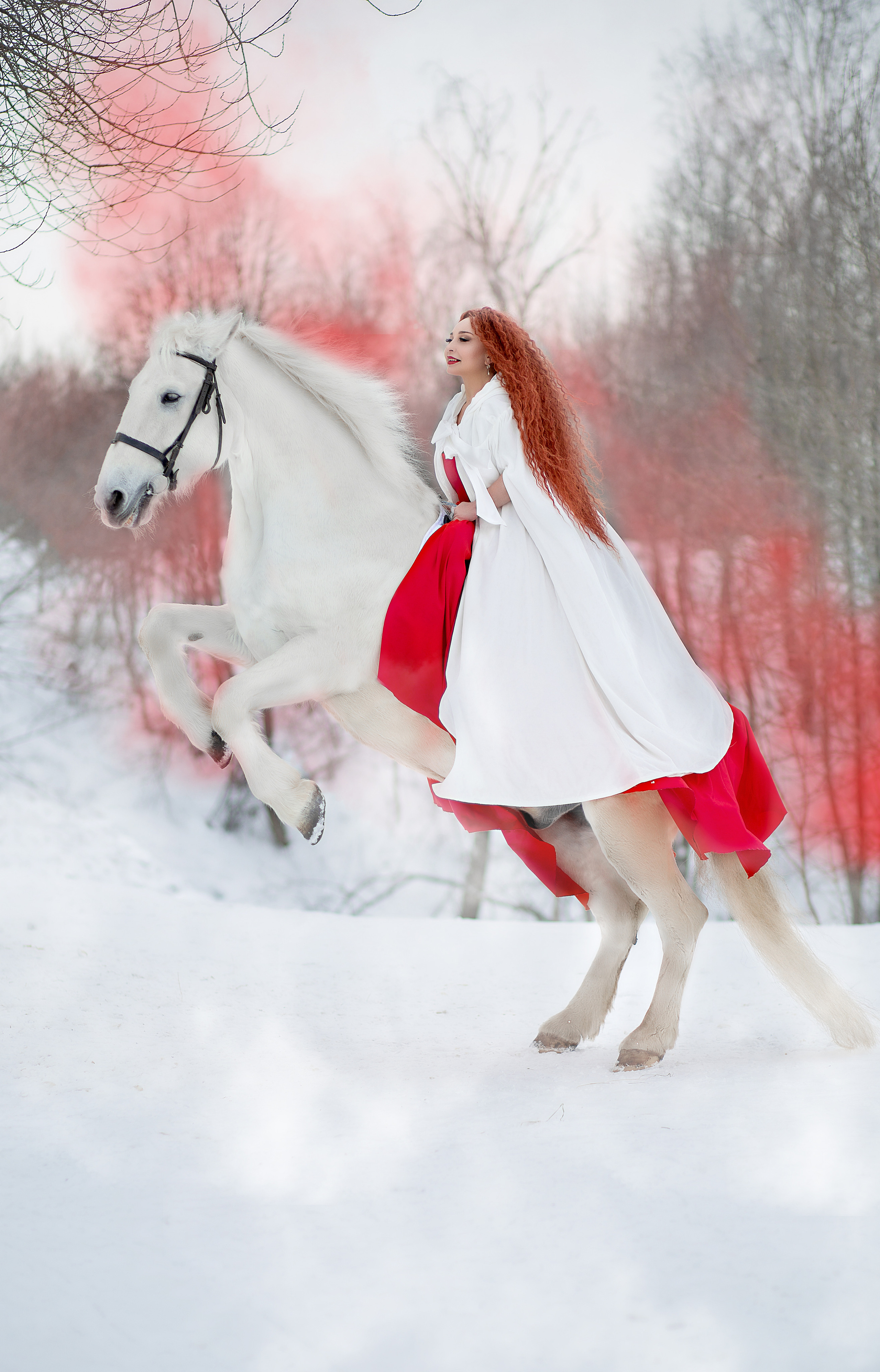 Алена и Воробушек 14.02.22. Фотосессия с лошадьми в Нижнем Новгороде