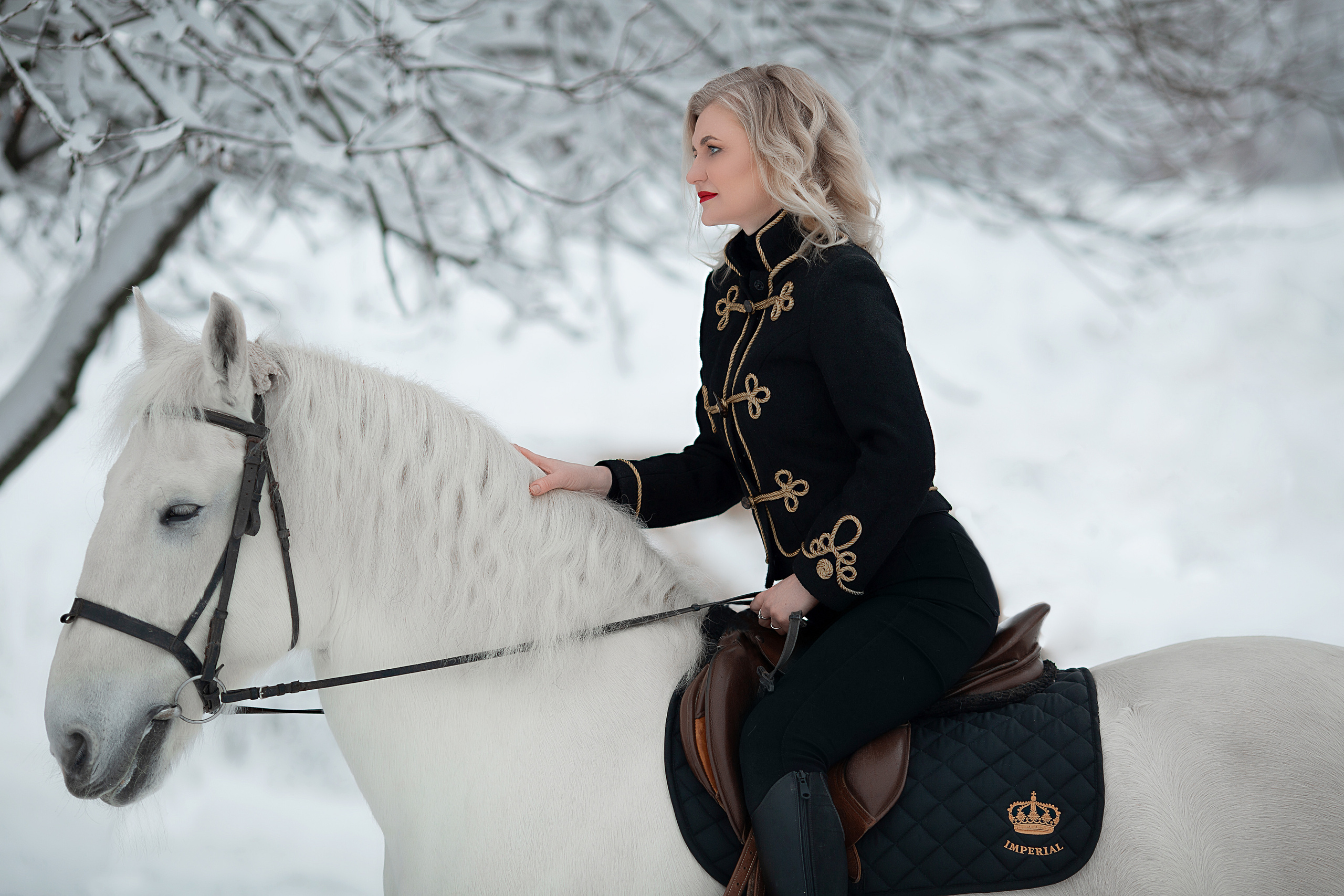 Елена и Воробей 18.12.21. Фотосессия с лошадьми в Нижнем Новгороде