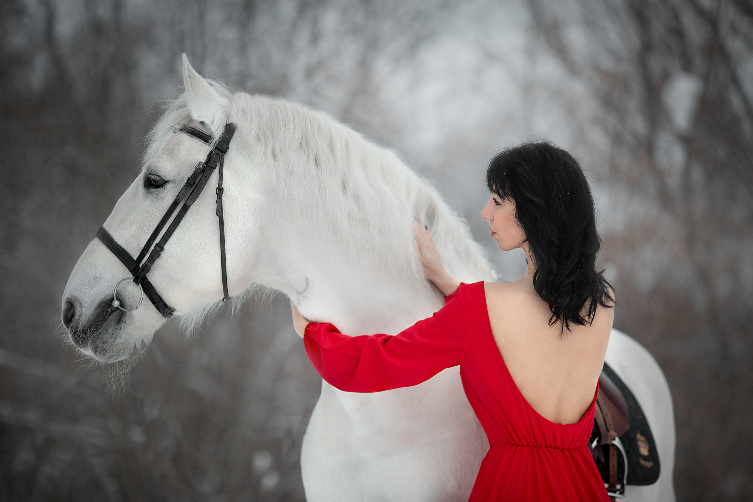 Елена и Воробушек 22.01.22. Фотосессия с лошадьми в Нижнем Новгороде