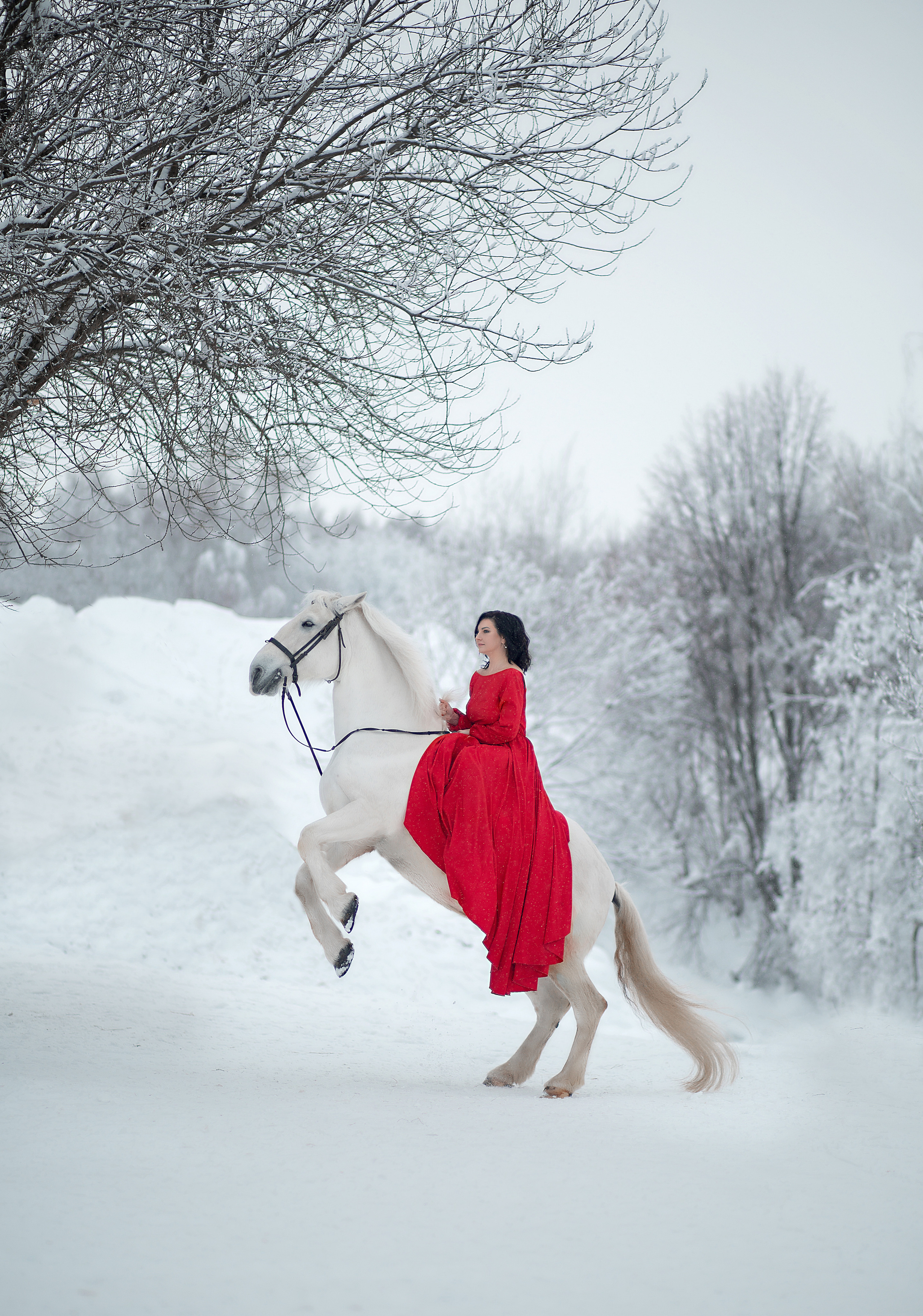 Ольга и Воробушек. Фотосессия с лошадьми в Нижнем Новгороде