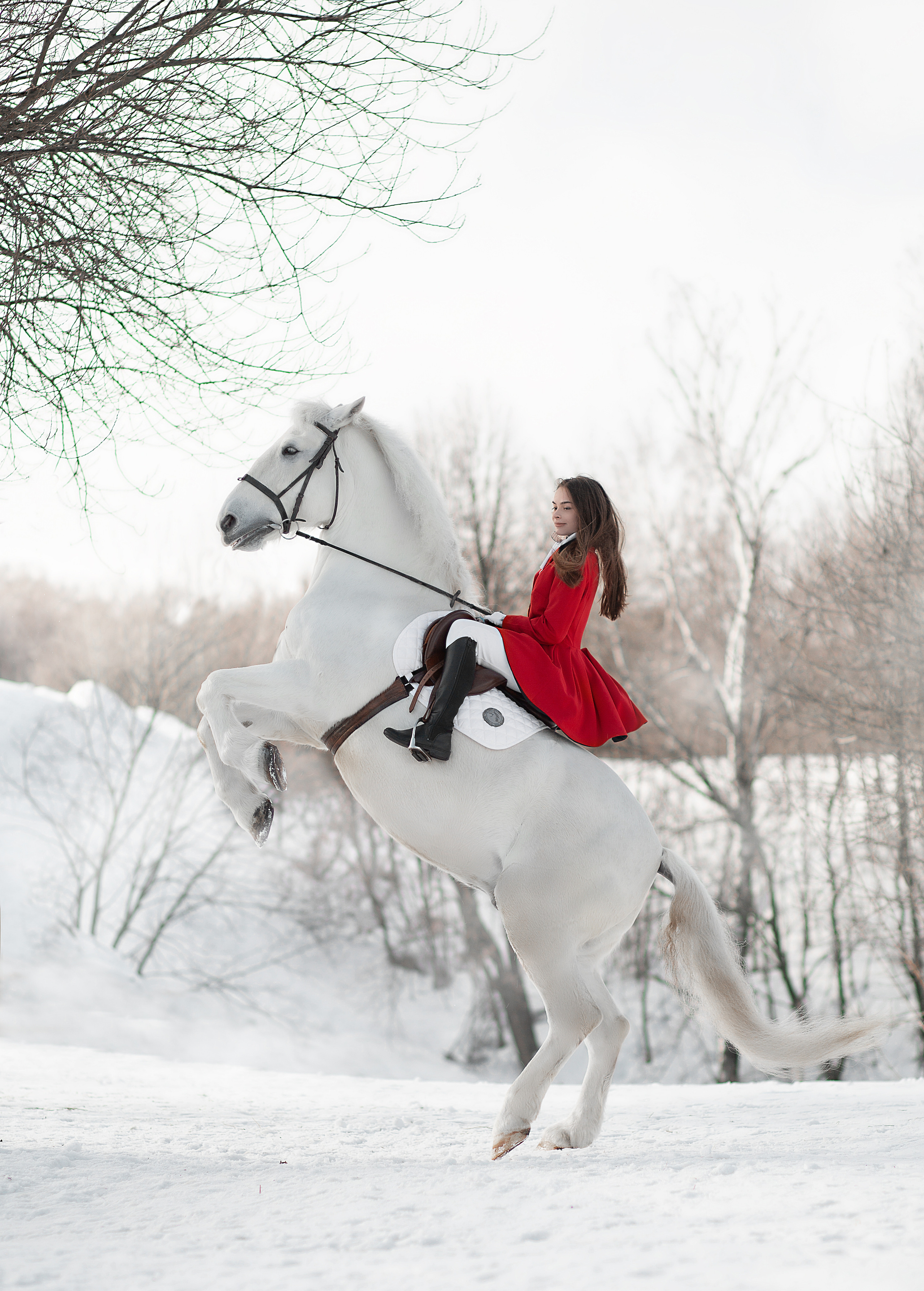 Лена и Воробушек 19.02.22. Фотосессия с лошадьми в Нижнем Новгороде