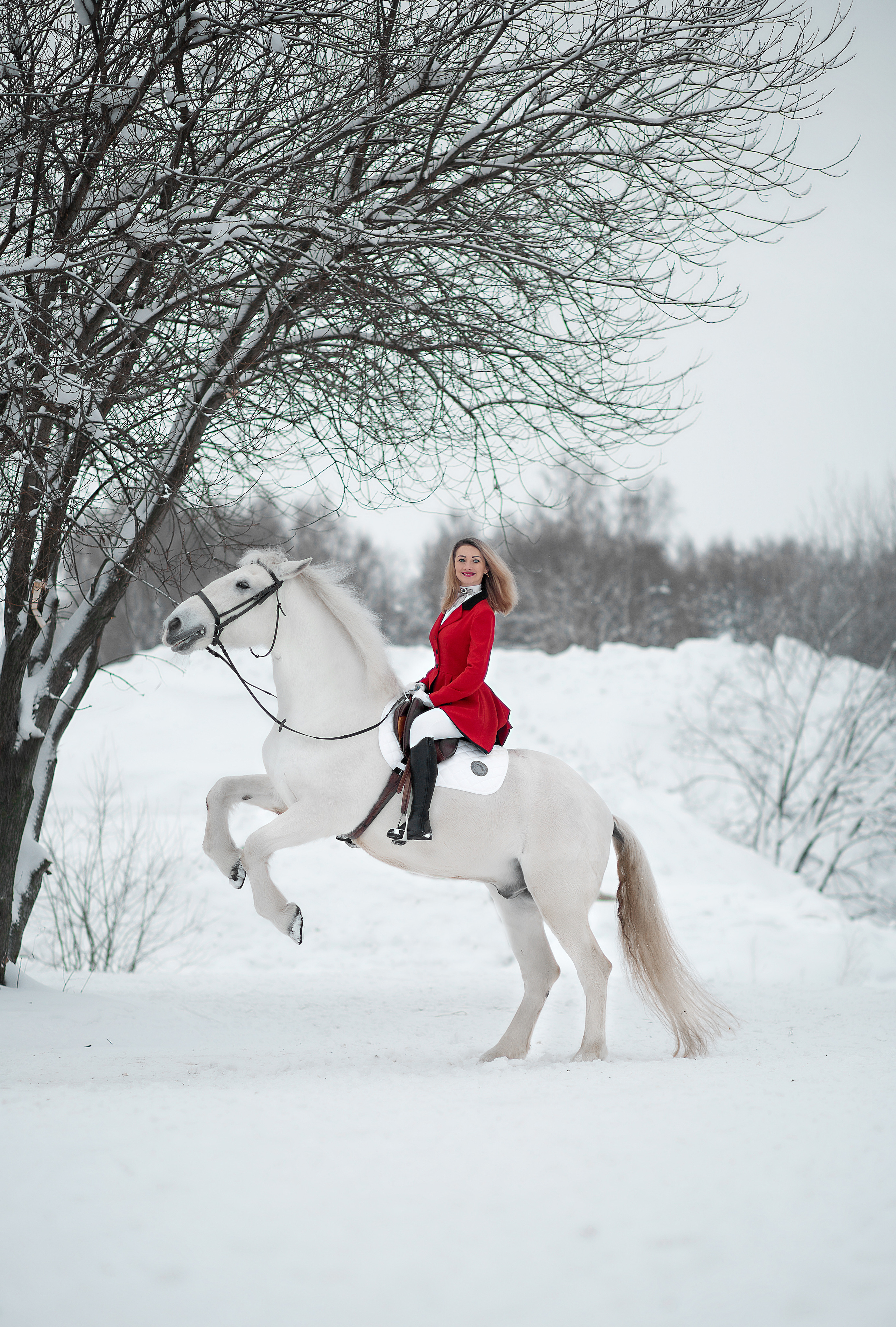 Фотосессия Марии и Воробья. Фотосессия с лошадьми в Нижнем Новгороде