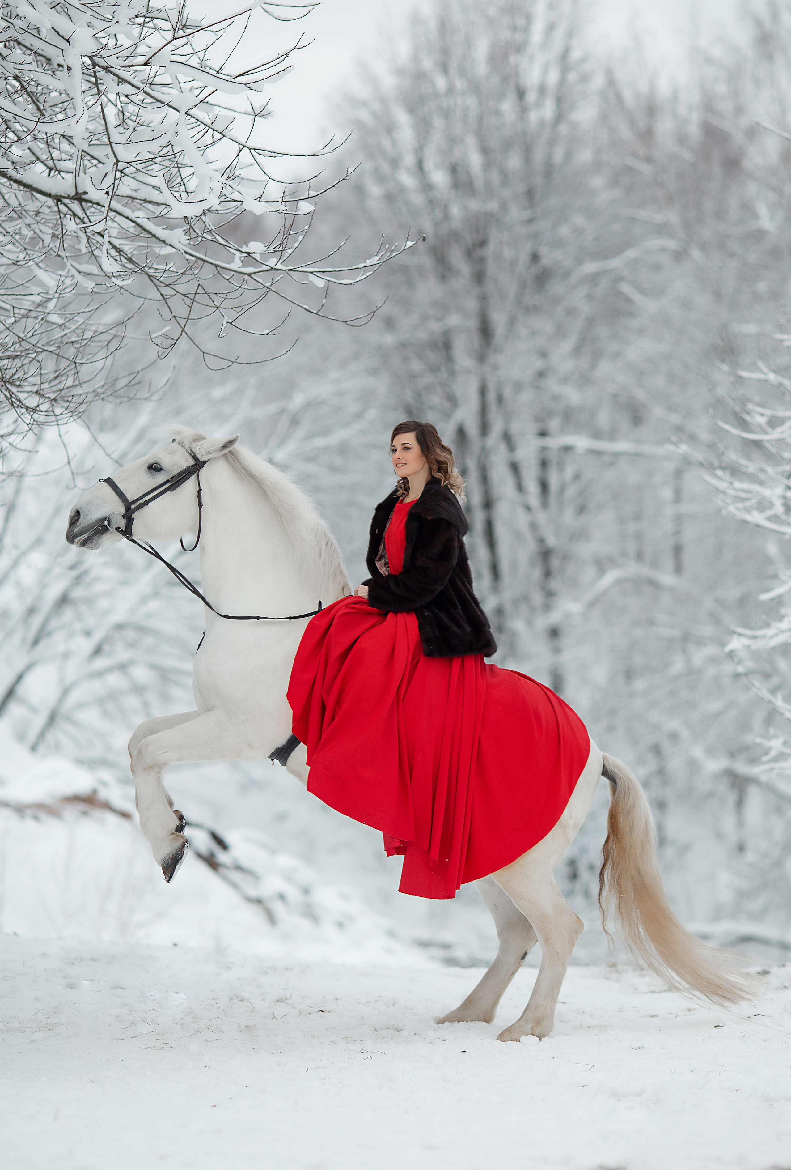 Анастасия и Воробей фотодень. Фотосессия с лошадьми в Нижнем Новгороде
