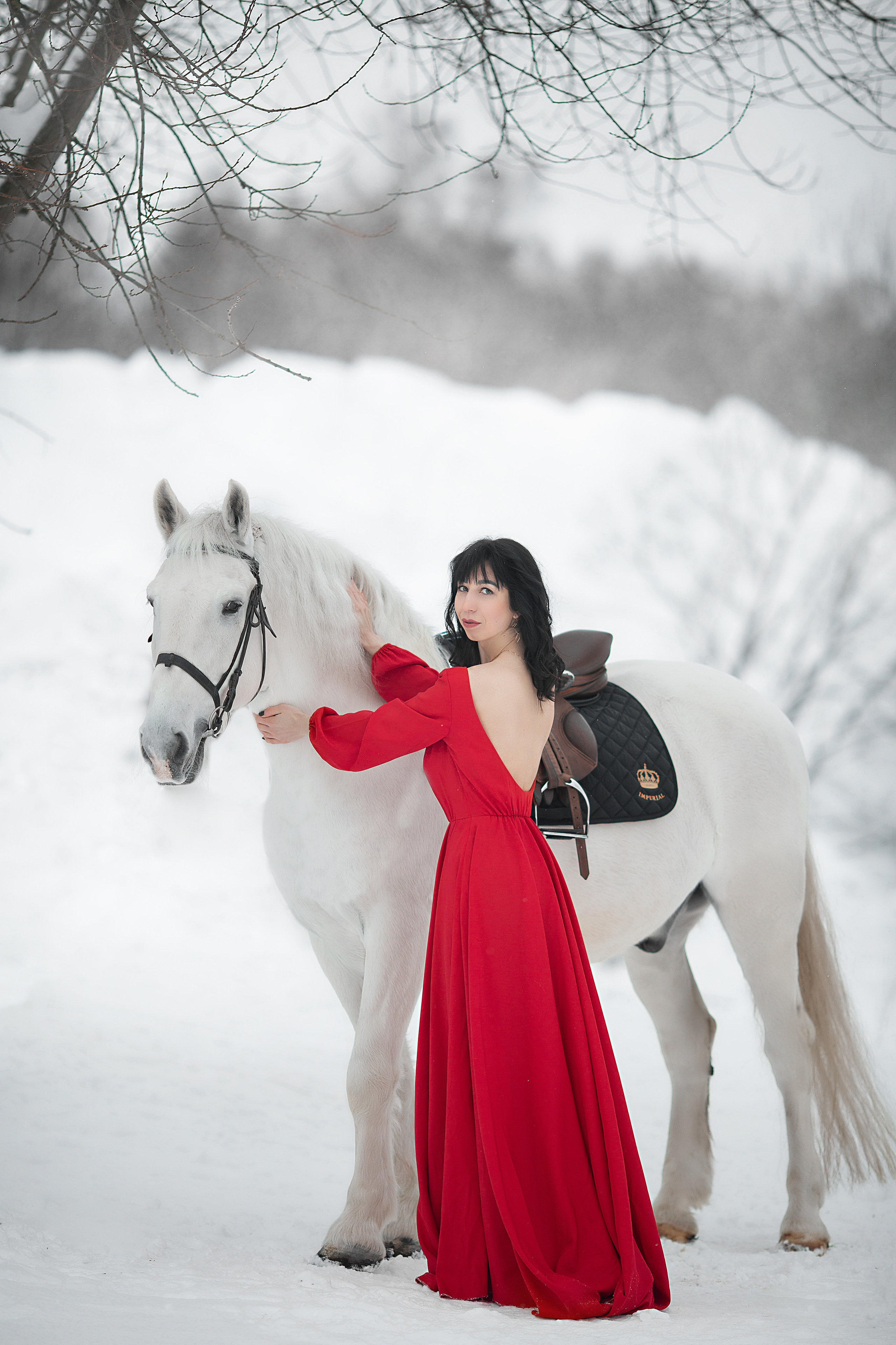 Елена и Воробушек 22.01.22. Фотосессия с лошадьми в Нижнем Новгороде