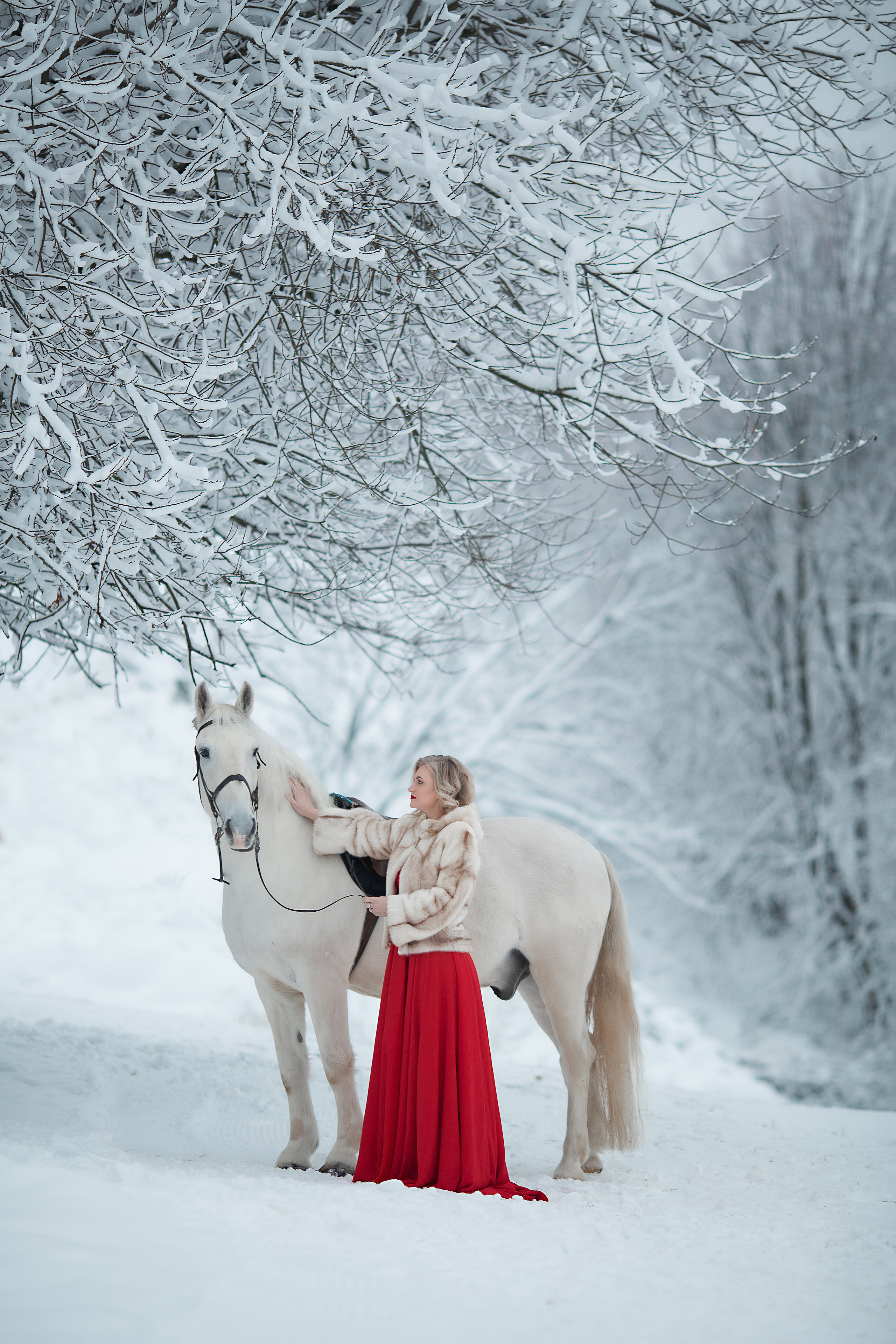 Елена и Воробей 18.12.21. Фотосессия с лошадьми в Нижнем Новгороде