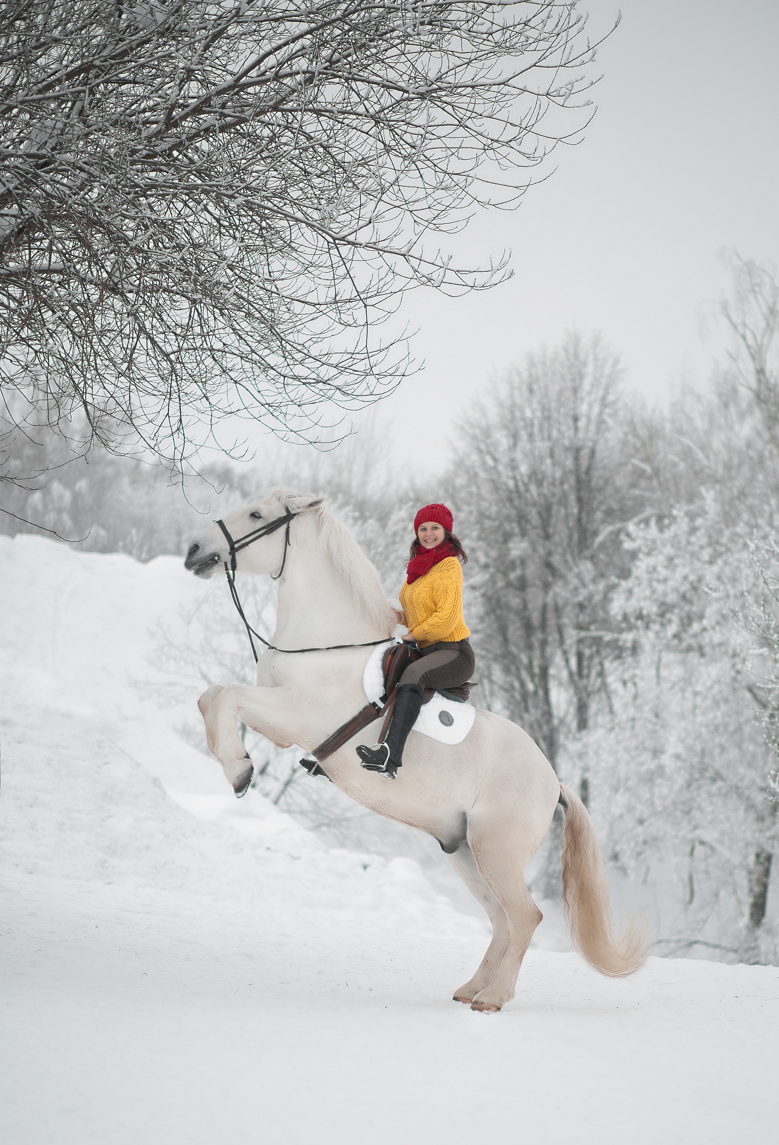Фотосессия Натальи и Воробья. Фотосессия с лошадьми в Нижнем Новгороде