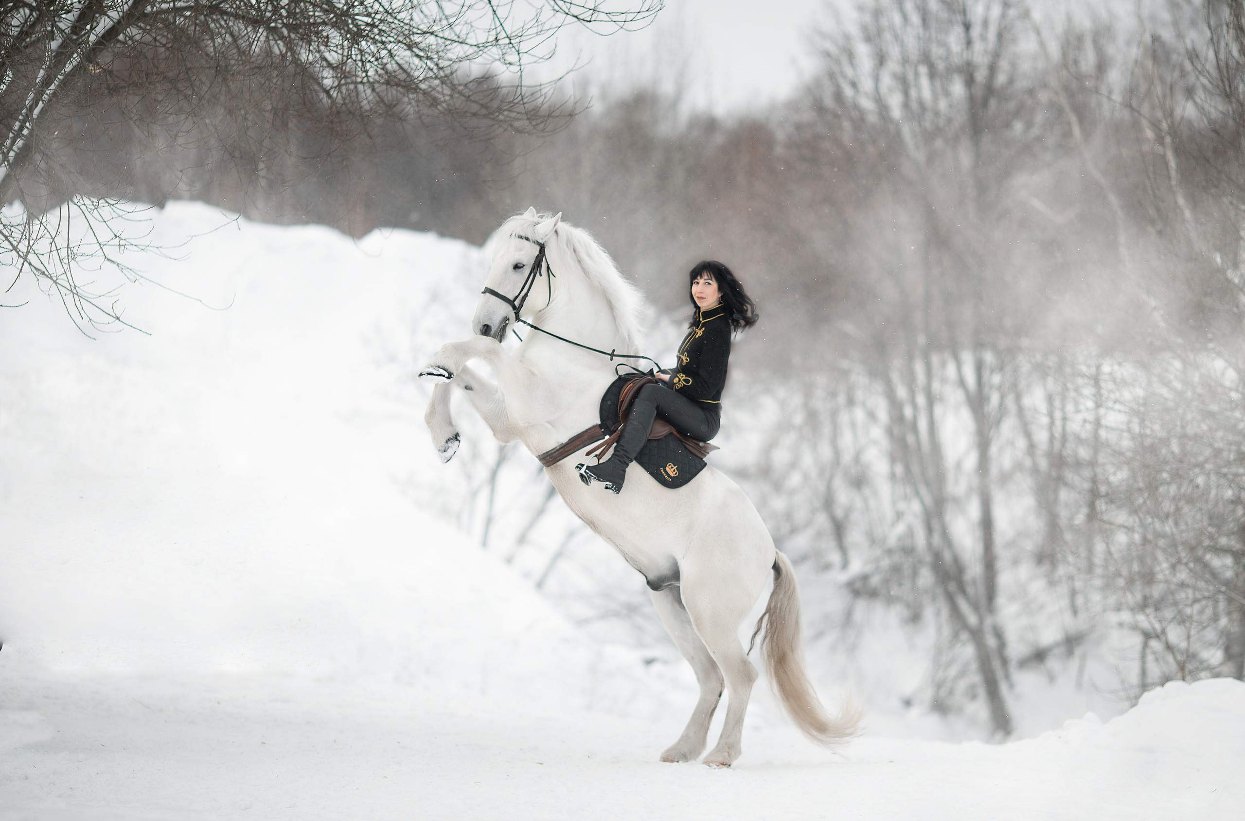 Елена и Воробушек 22.01.22. Фотосессия с лошадьми в Нижнем Новгороде