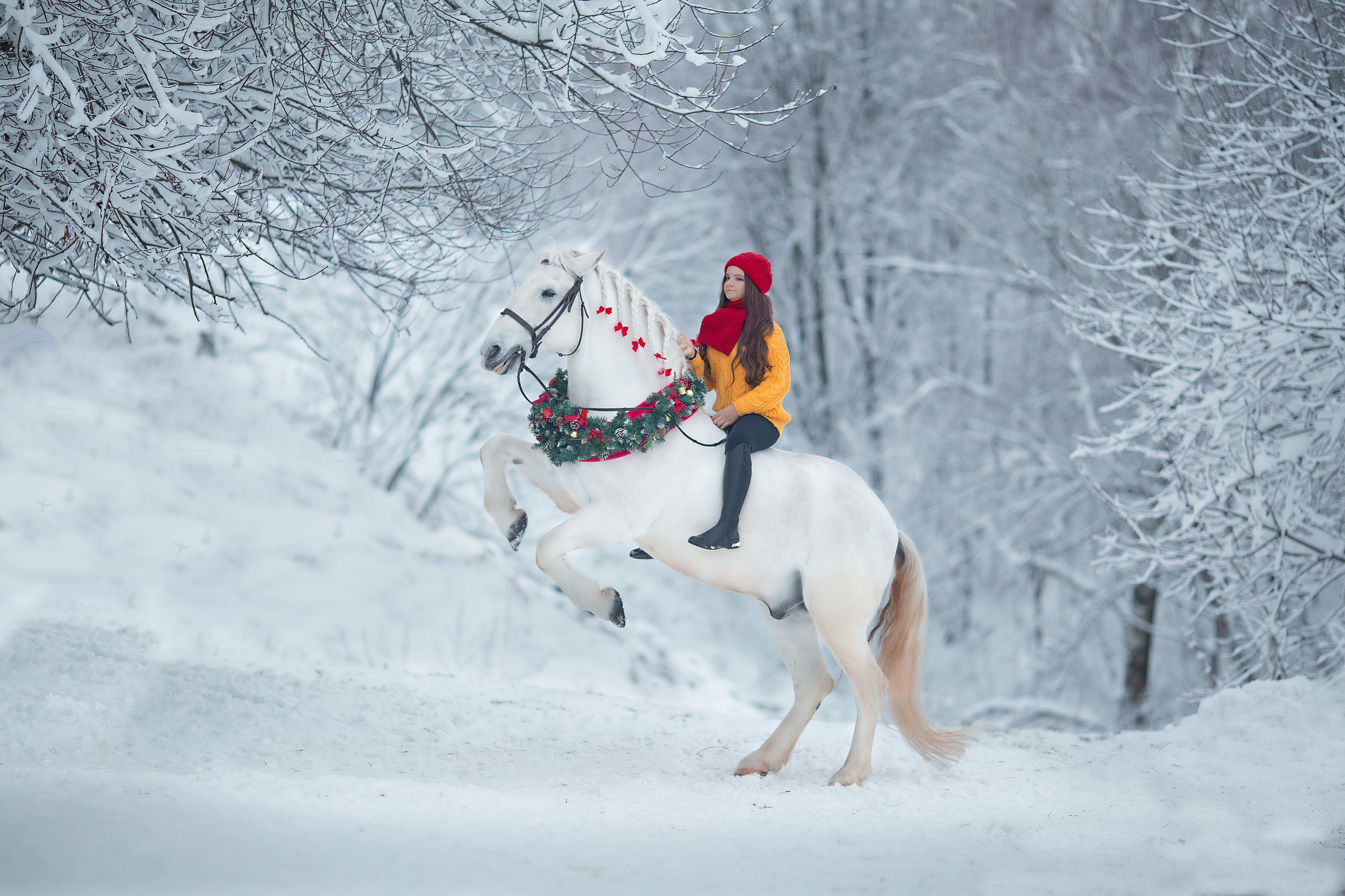 Виктория и Воробей фотодень. Фотосессия с лошадьми в Нижнем Новгороде