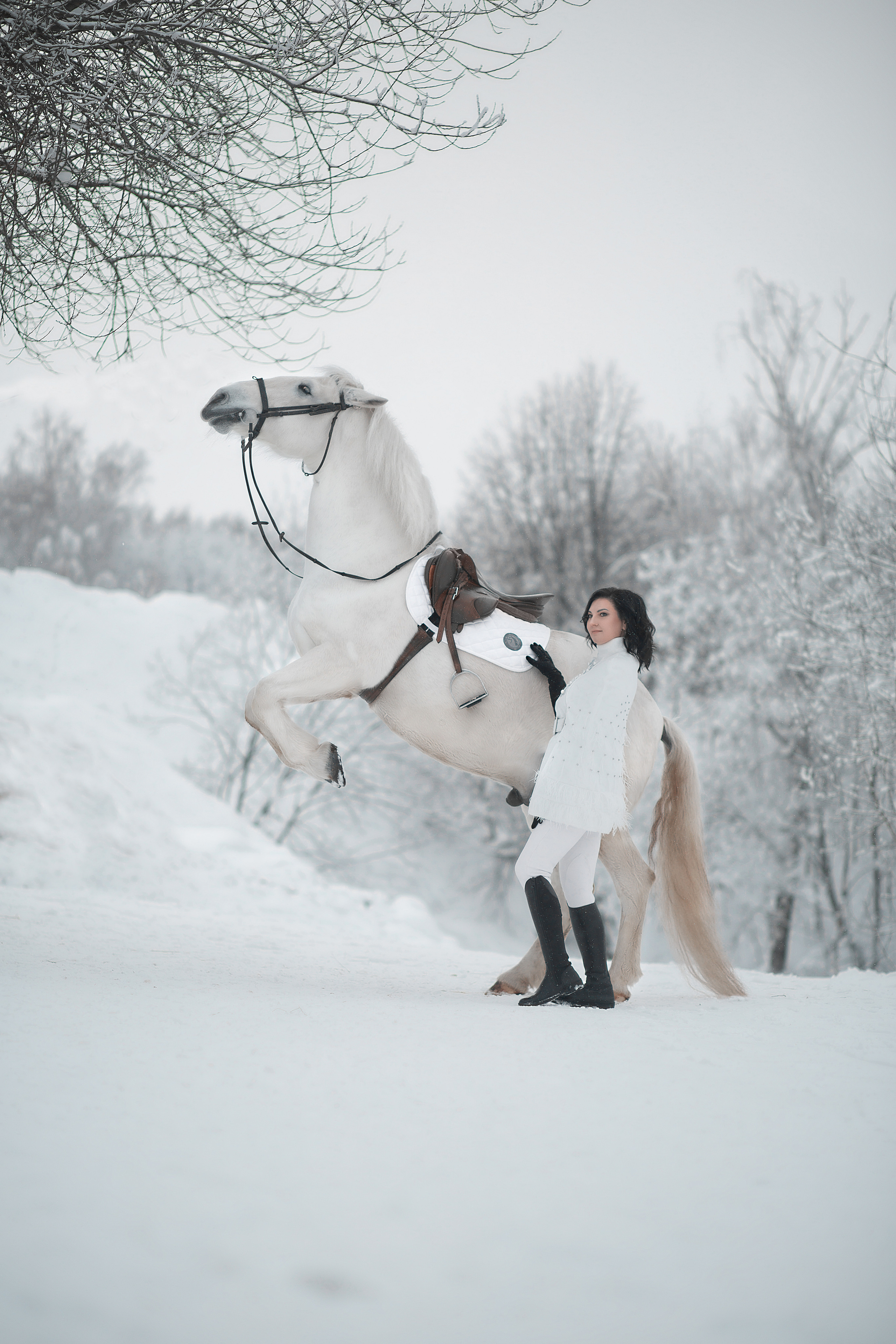 Ольга и Воробушек. Фотосессия с лошадьми в Нижнем Новгороде