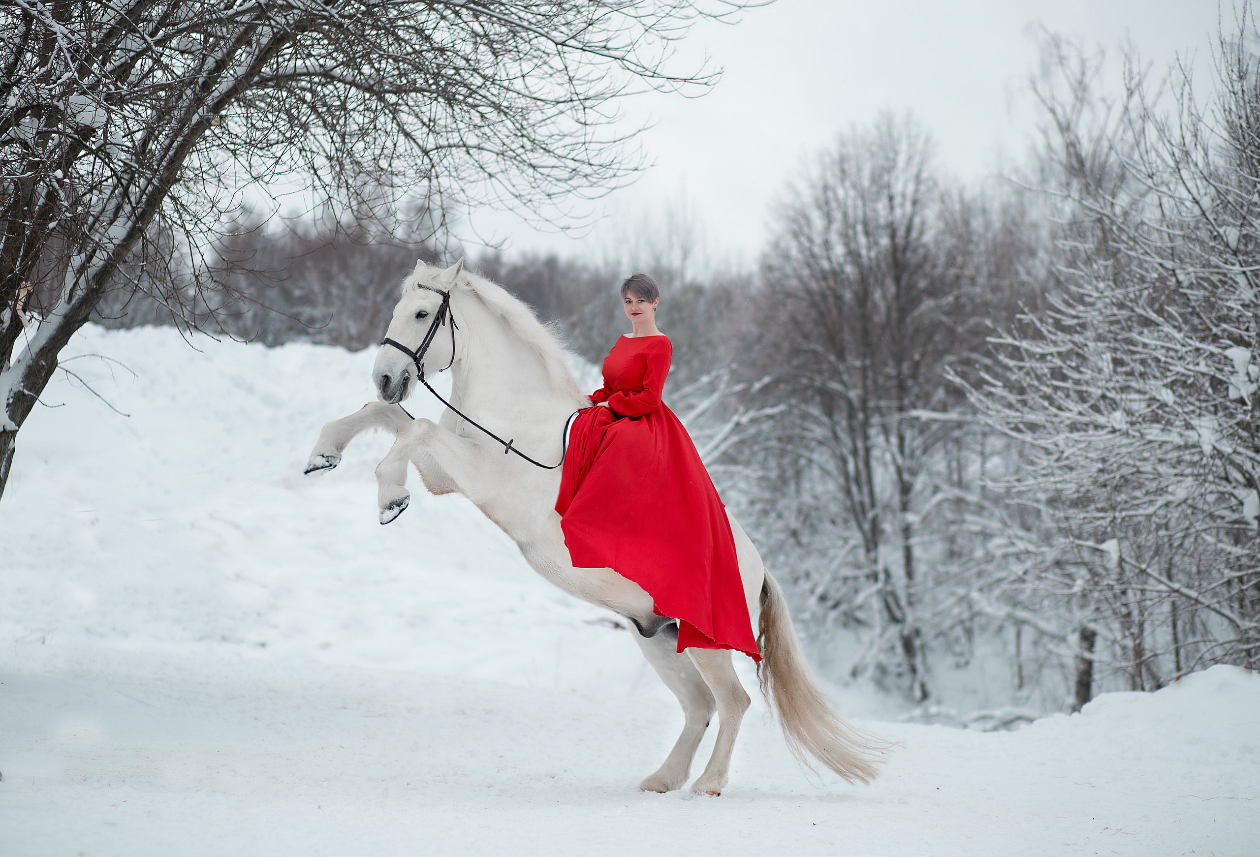 Фотосессия Елены и Воробья. Фотосессия с лошадьми в Нижнем Новгороде