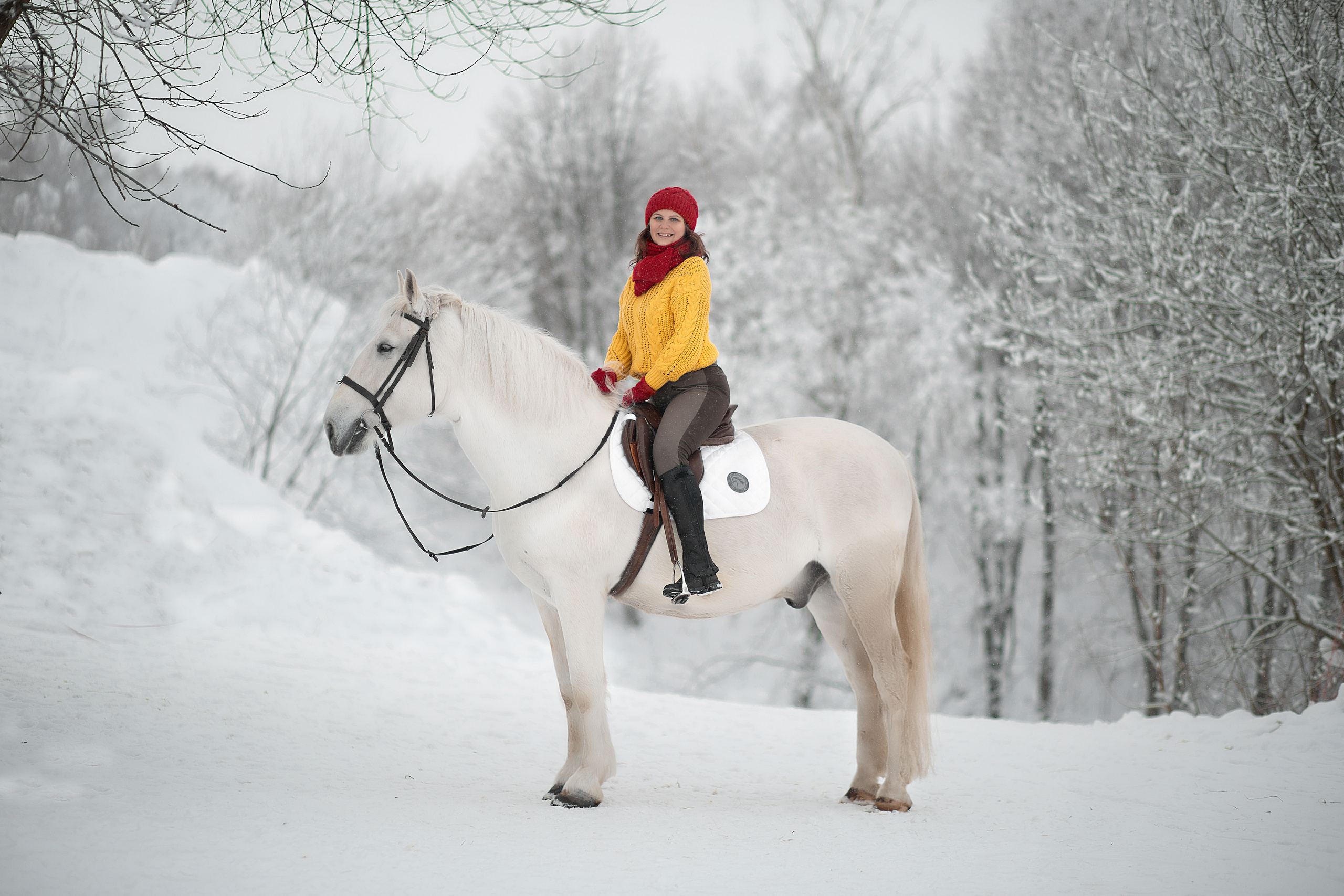Фотосессия Натальи и Воробья. Фотосессия с лошадьми в Нижнем Новгороде