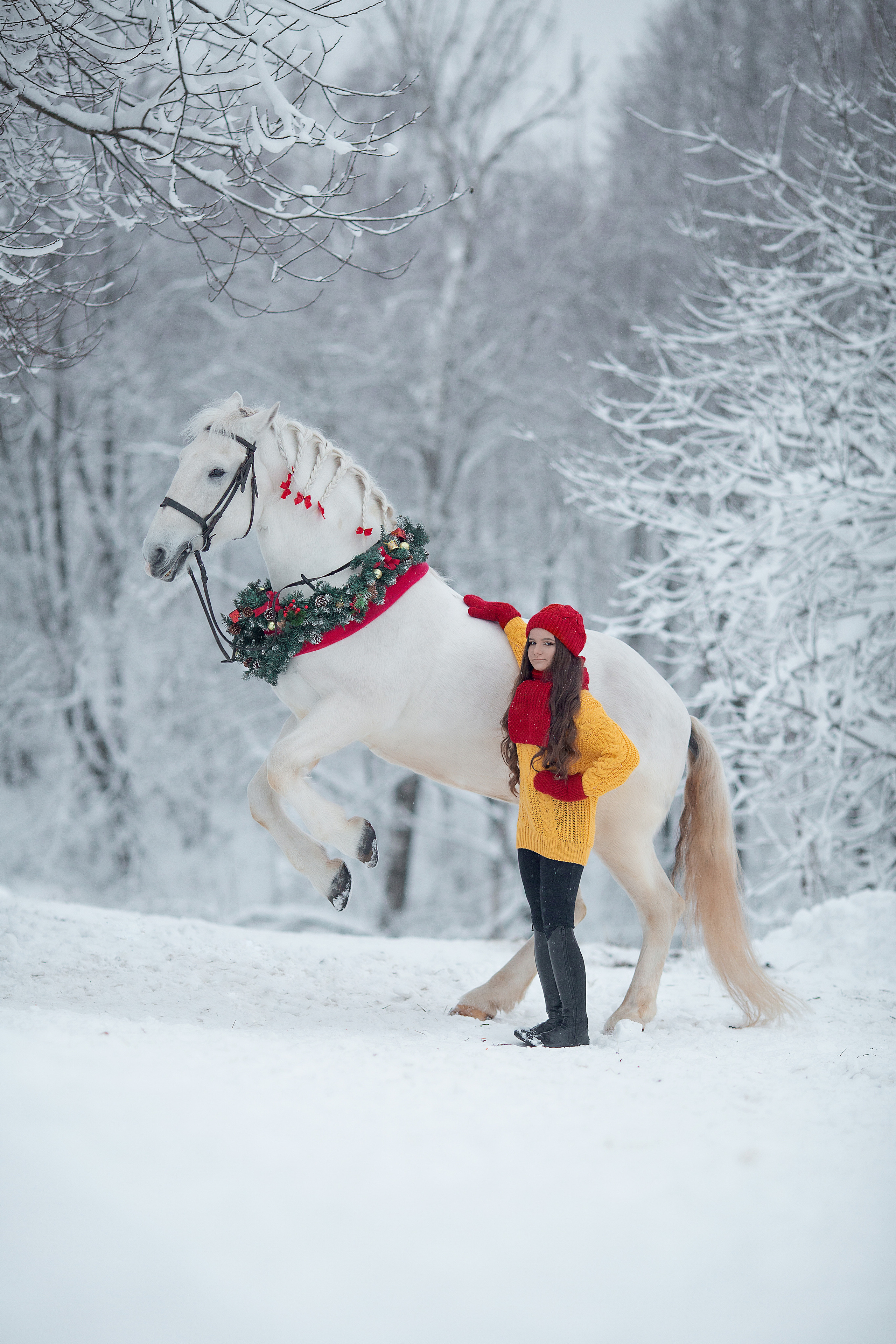 Виктория и Воробей фотодень. Фотосессия с лошадьми в Нижнем Новгороде