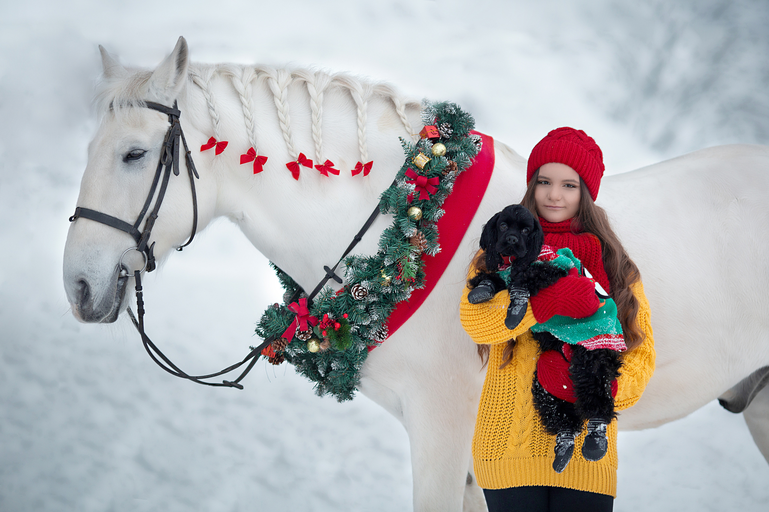 Виктория и Воробей фотодень. Фотосессия с лошадьми в Нижнем Новгороде