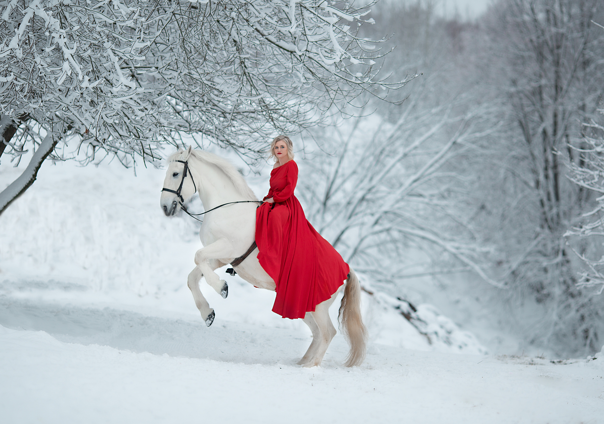 Елена и Воробей 18.12.21. Фотосессия с лошадьми в Нижнем Новгороде