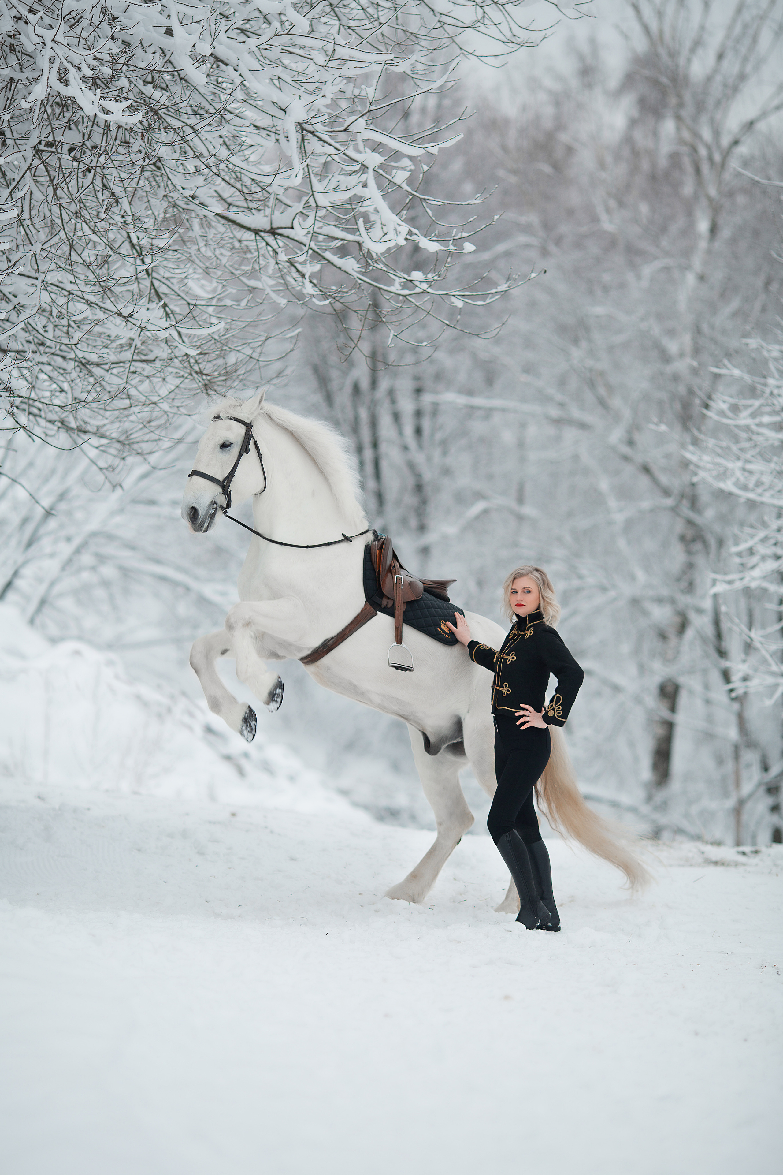 Елена и Воробей 18.12.21. Фотосессия с лошадьми в Нижнем Новгороде