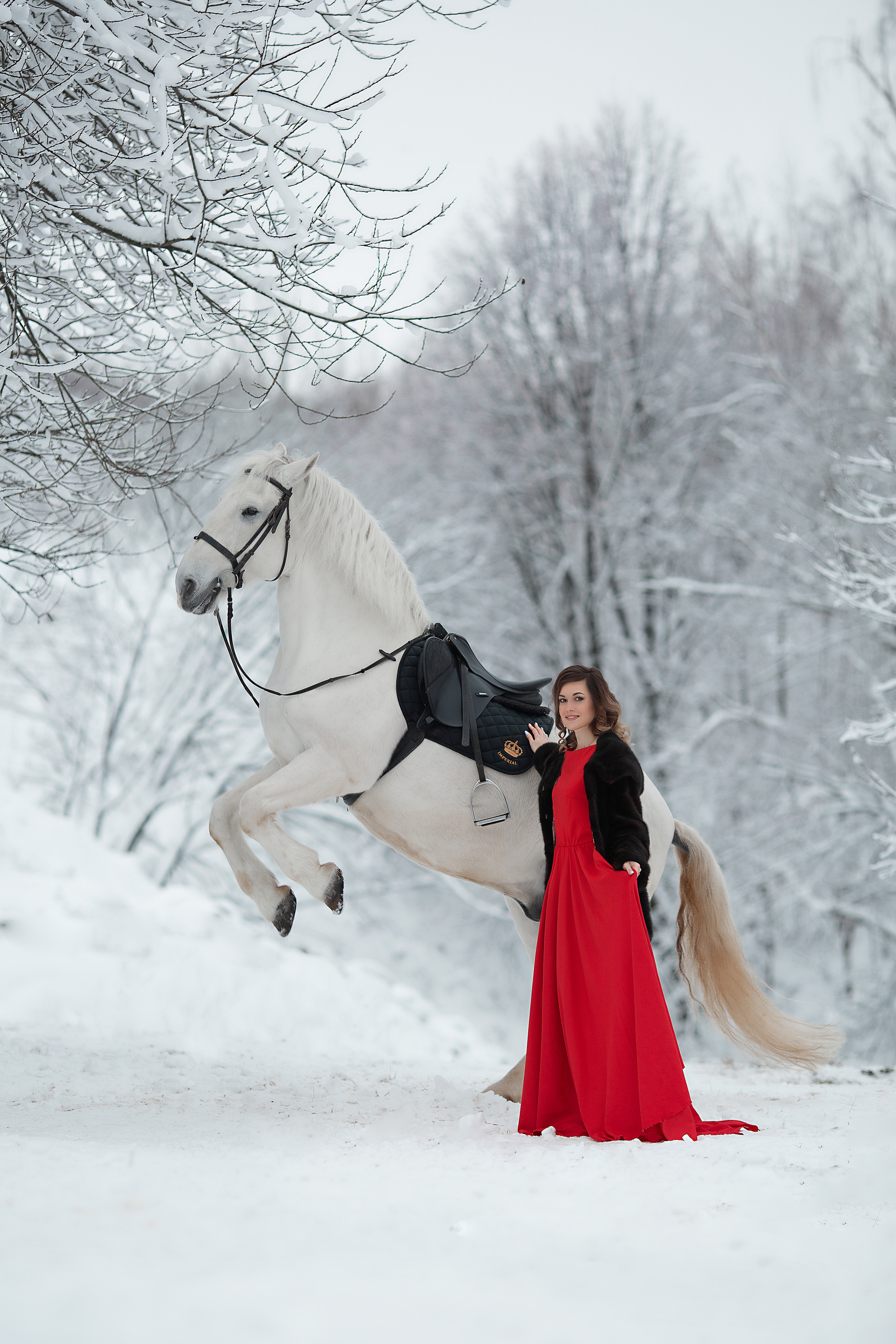 Анастасия и Воробей фотодень. Фотосессия с лошадьми в Нижнем Новгороде