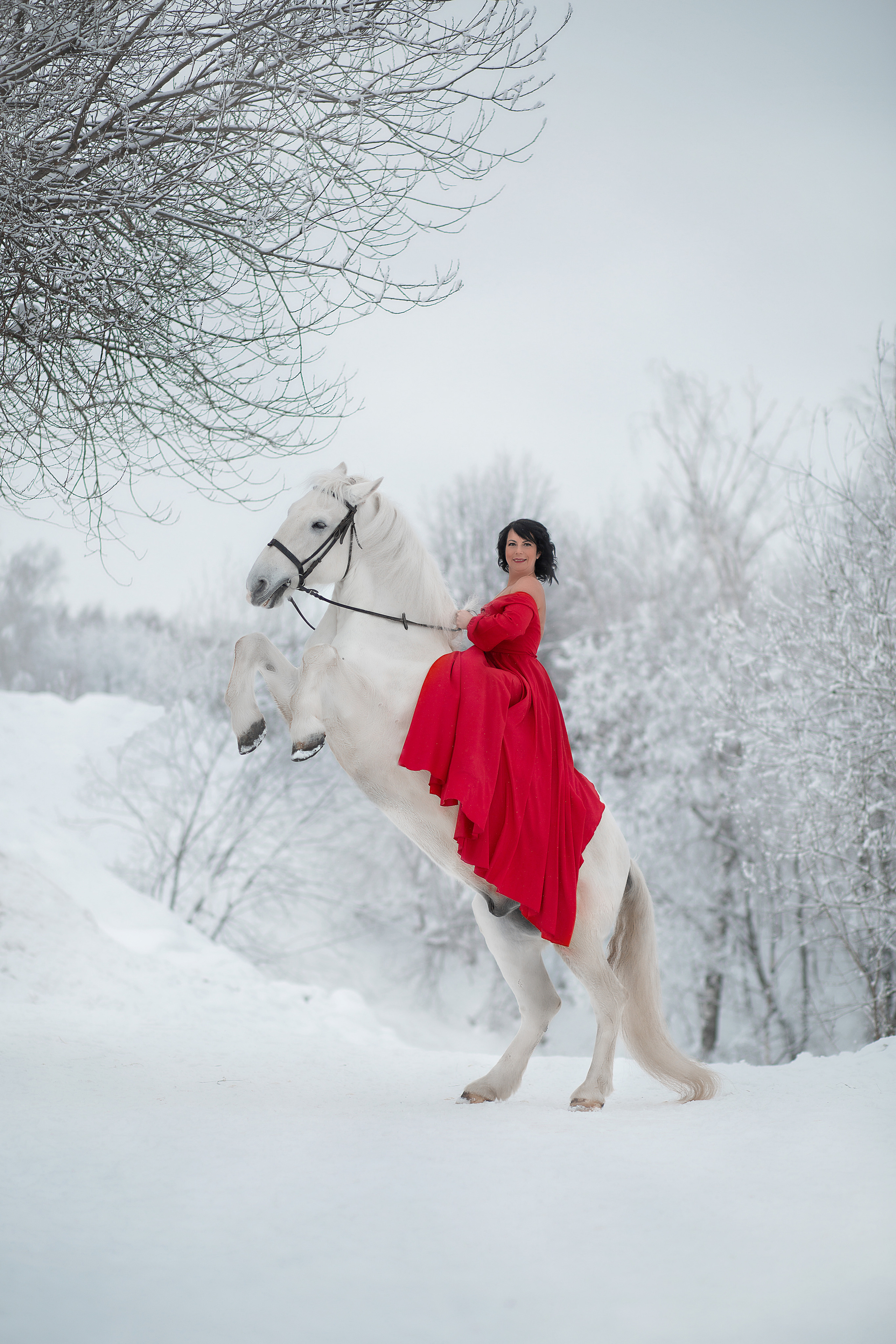 Оксана и Воробей 29.01.22. Фотосессия с лошадьми в Нижнем Новгороде