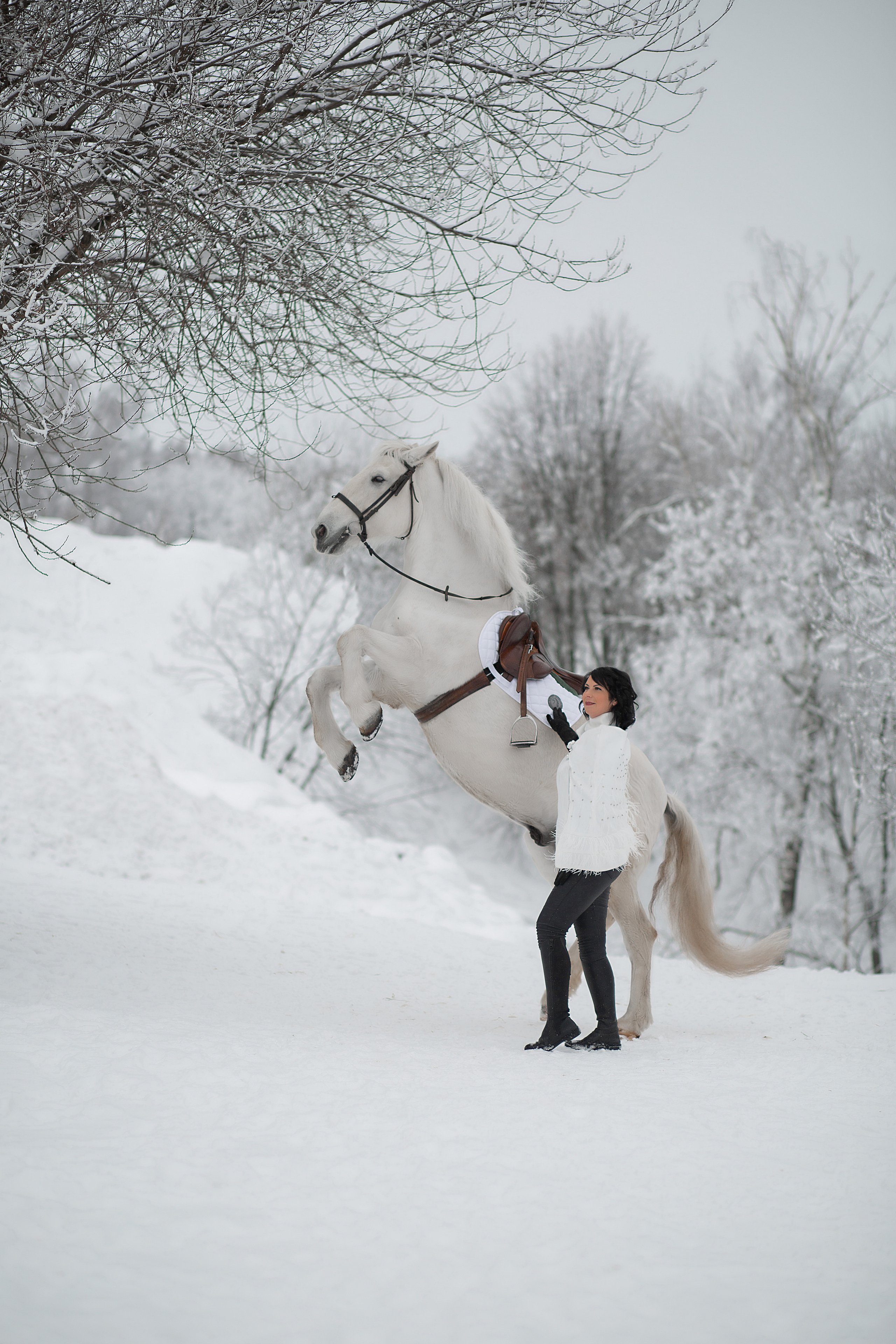 Оксана и Воробей 29.01.22. Фотосессия с лошадьми в Нижнем Новгороде