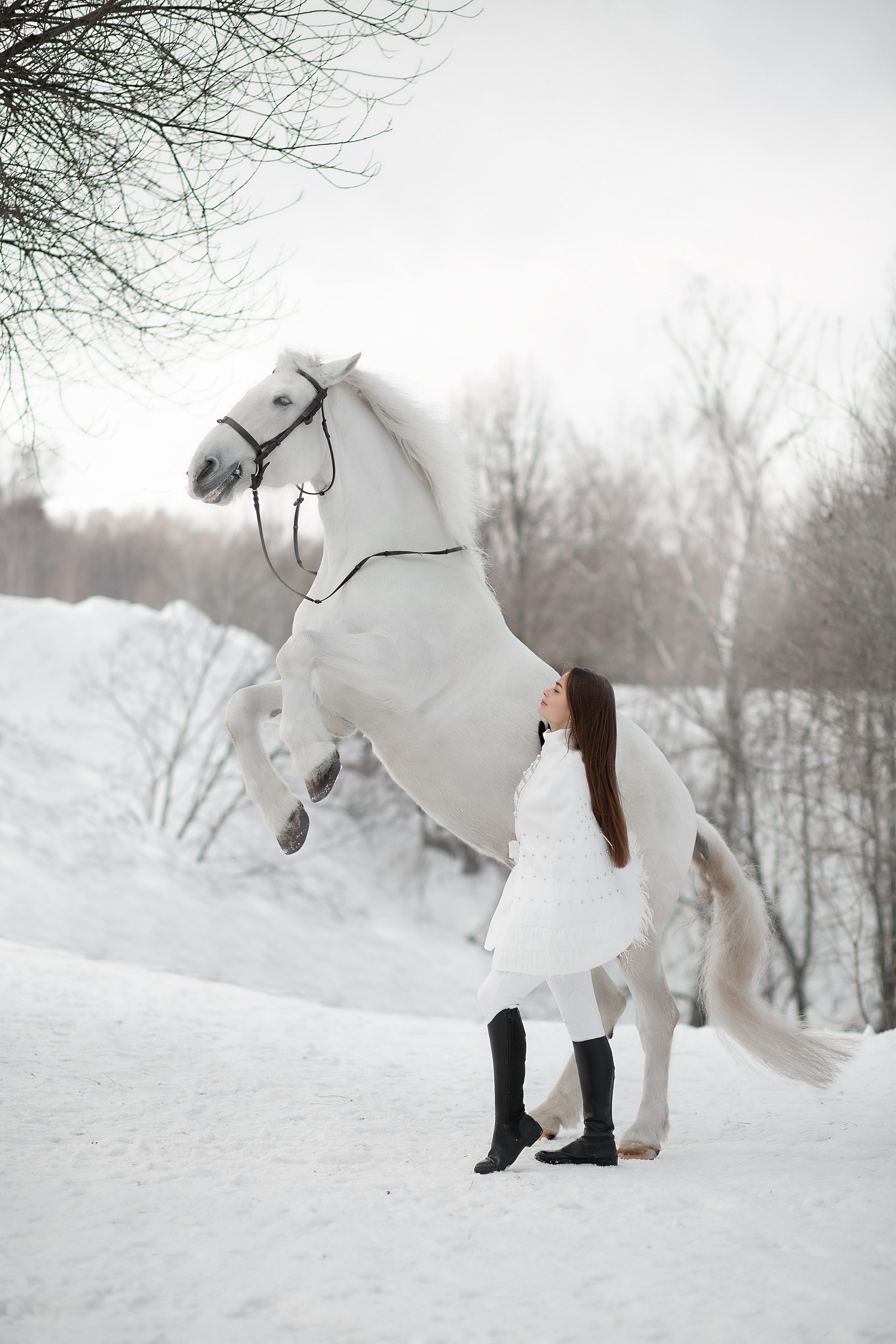 Лена и Воробушек 19.02.22. Фотосессия с лошадьми в Нижнем Новгороде